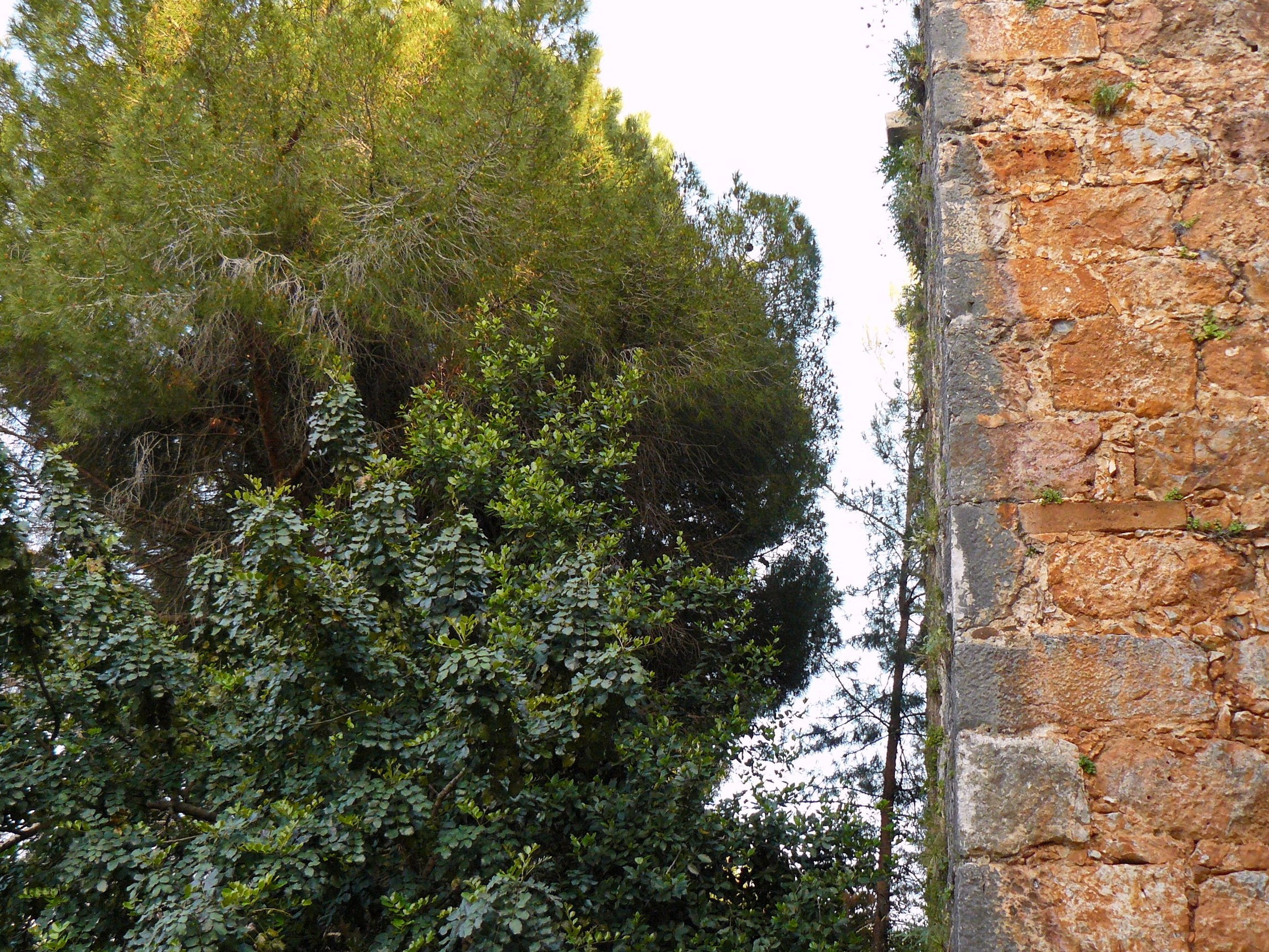 Алания 2014 старая крепость. Фотопрогулки по Миру