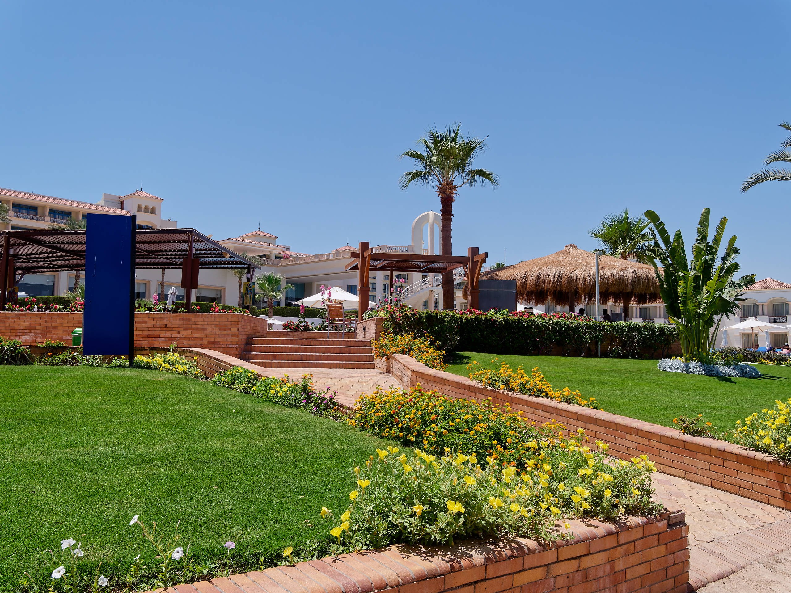 Шарм-эль-Шейх 2022 (1). Избранные фотографии