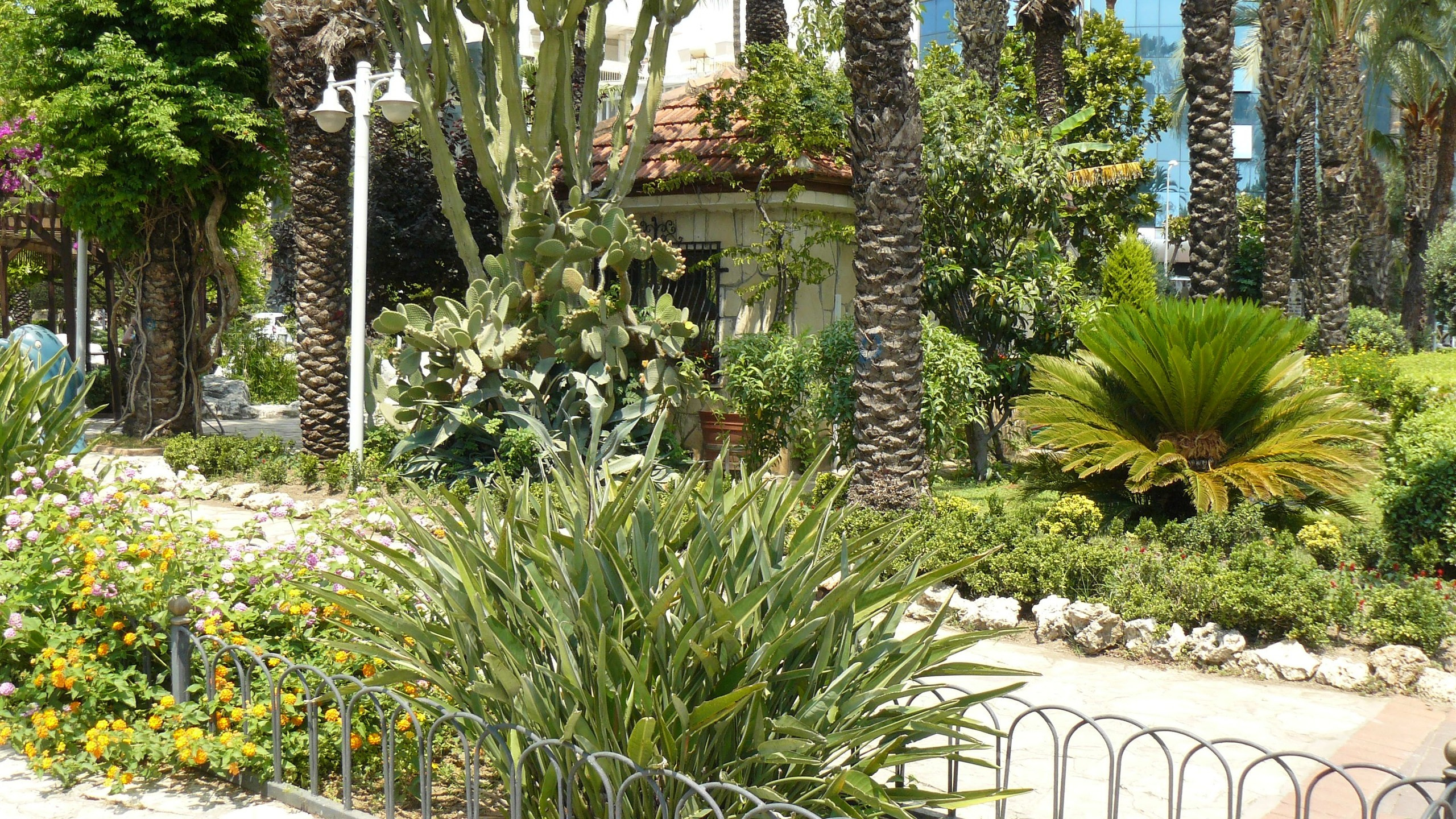 Алания 2015 порт и парк. Фотопрогулки по Миру