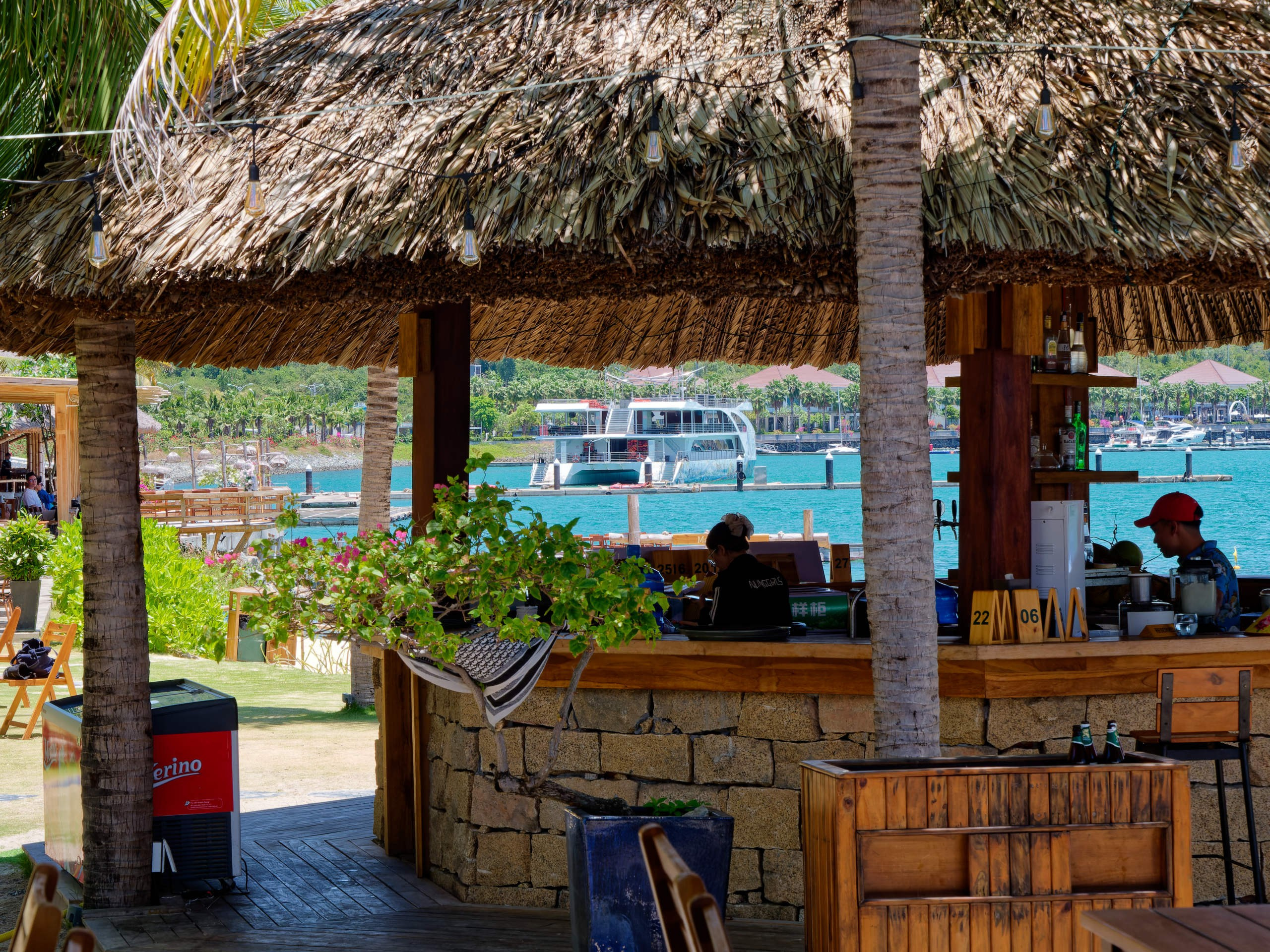 Нячанг 2025 (3). Избранные фотографии