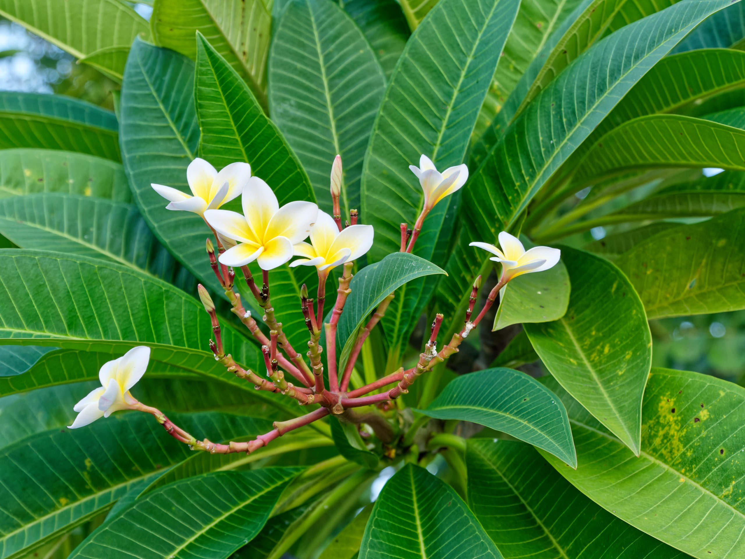 Нячанг 2023. Избранные фотографии