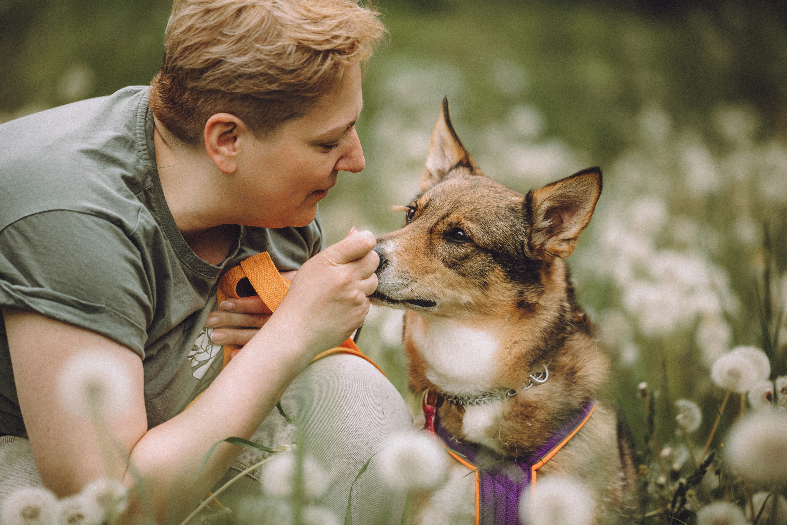 Груша, Данни, Фунтик и их семья