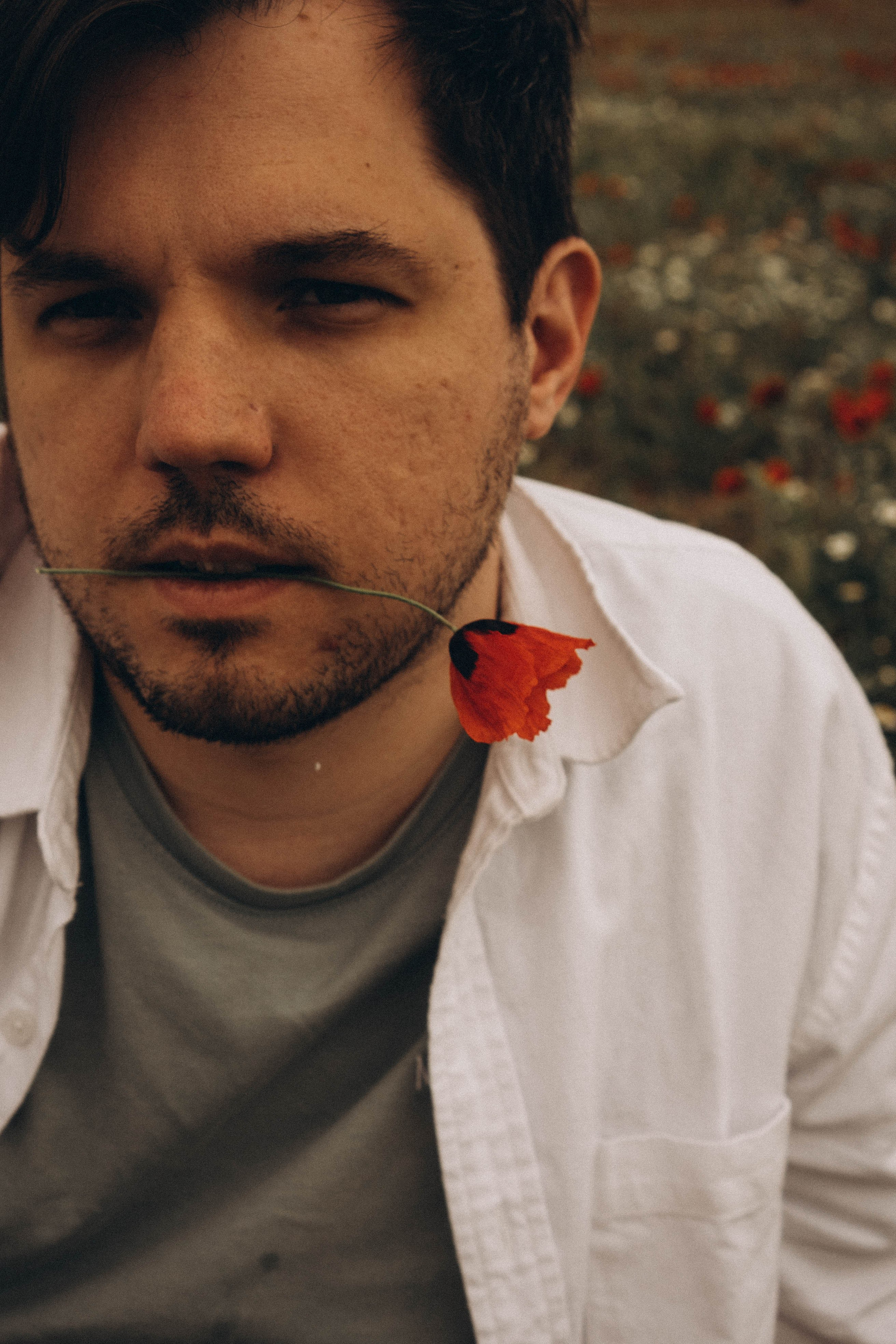 Маки. Профессиональный фотограф, Санкт-Петербург — Виктория Богомолова