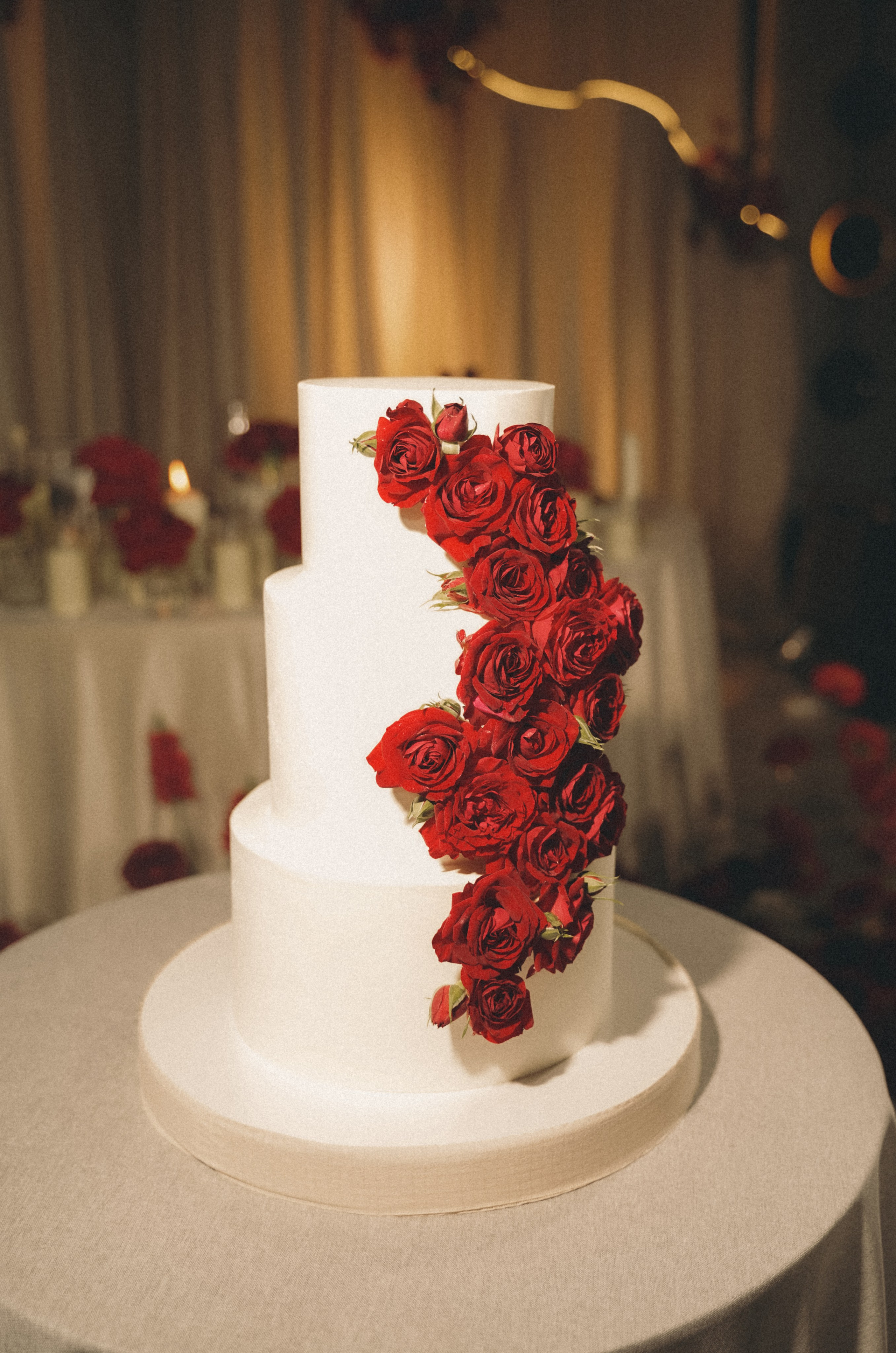 Розы и любовь. Творческий фотограф Аня Волк