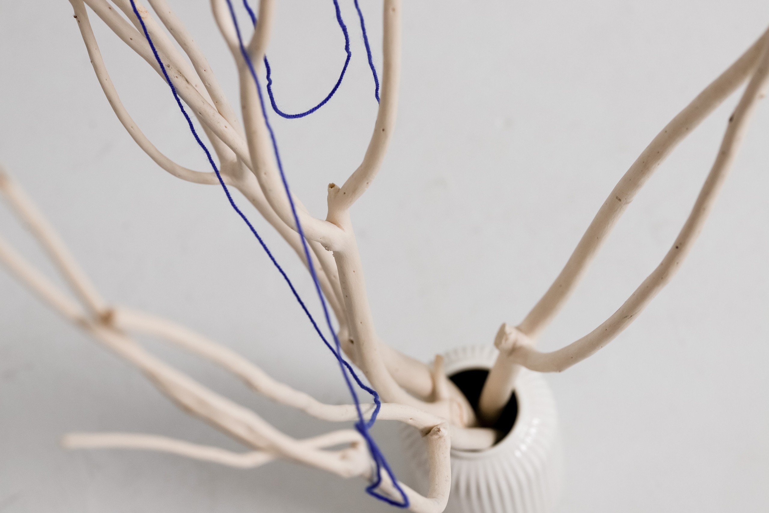 Контент- съемка. Фотограф Телегина Светлана