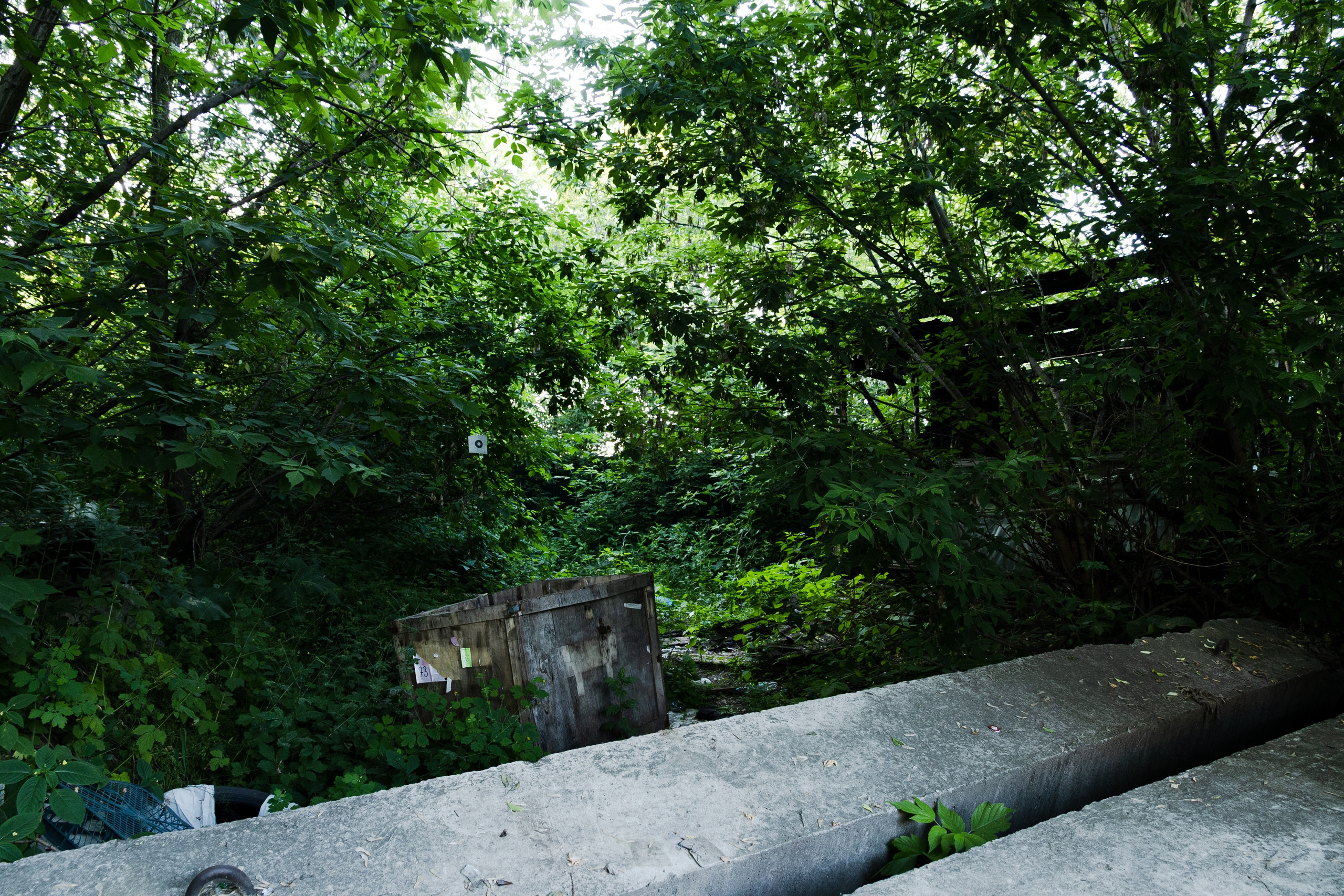 Открытый мир. DASHA KALNINA