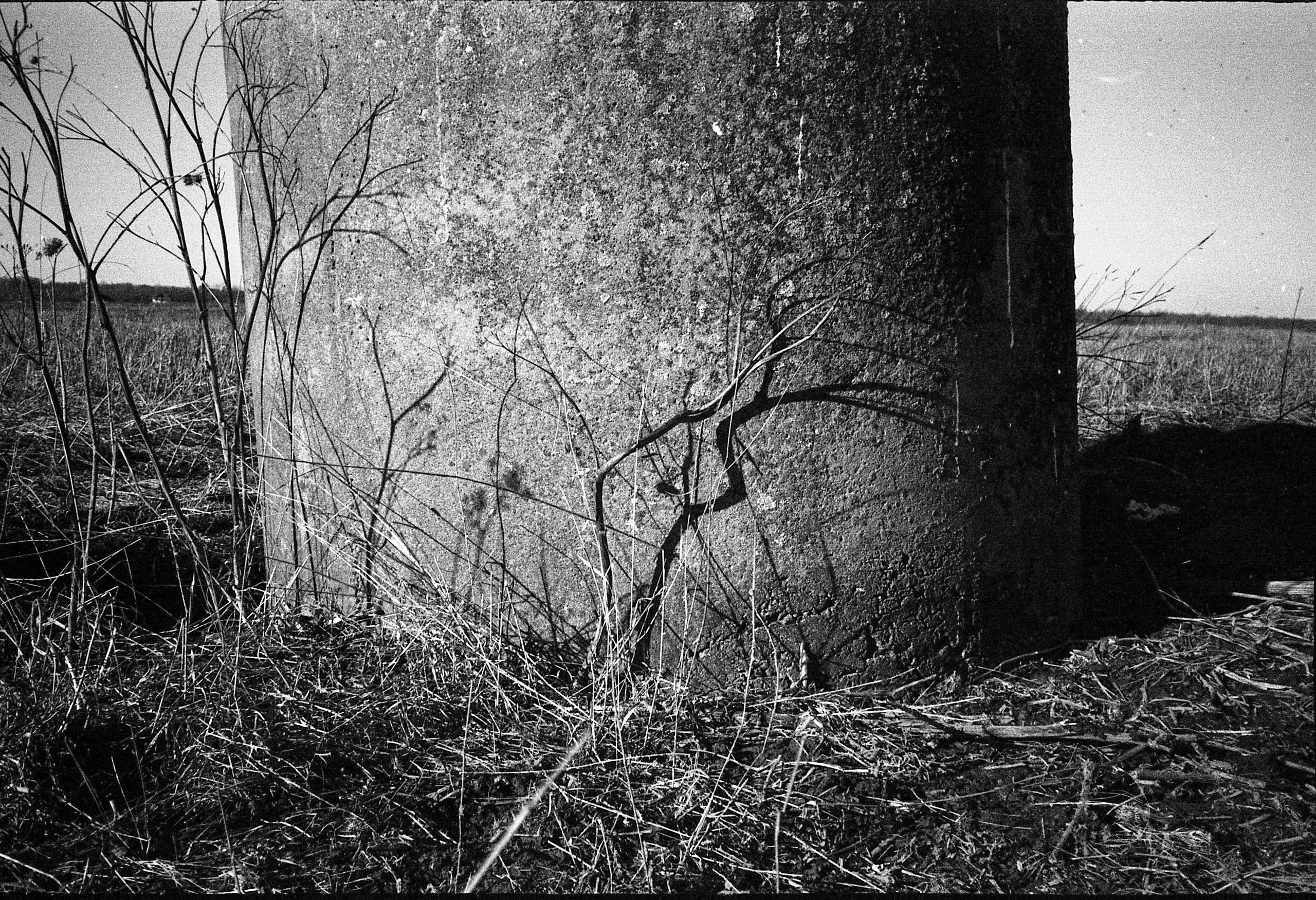 Окраины. Works