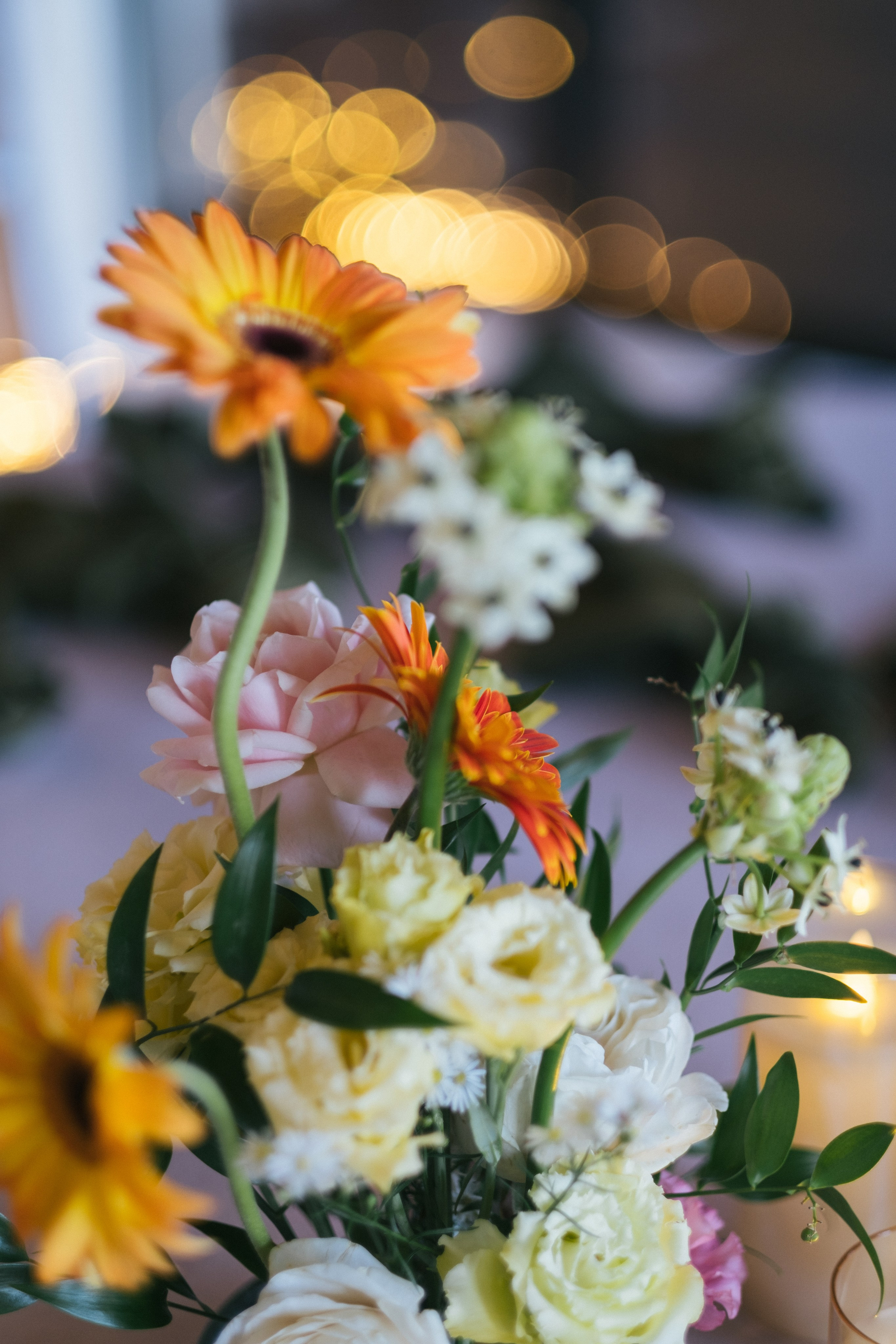 Змея и Мышь. Свадебный Видеограф Фотограф в Сочи