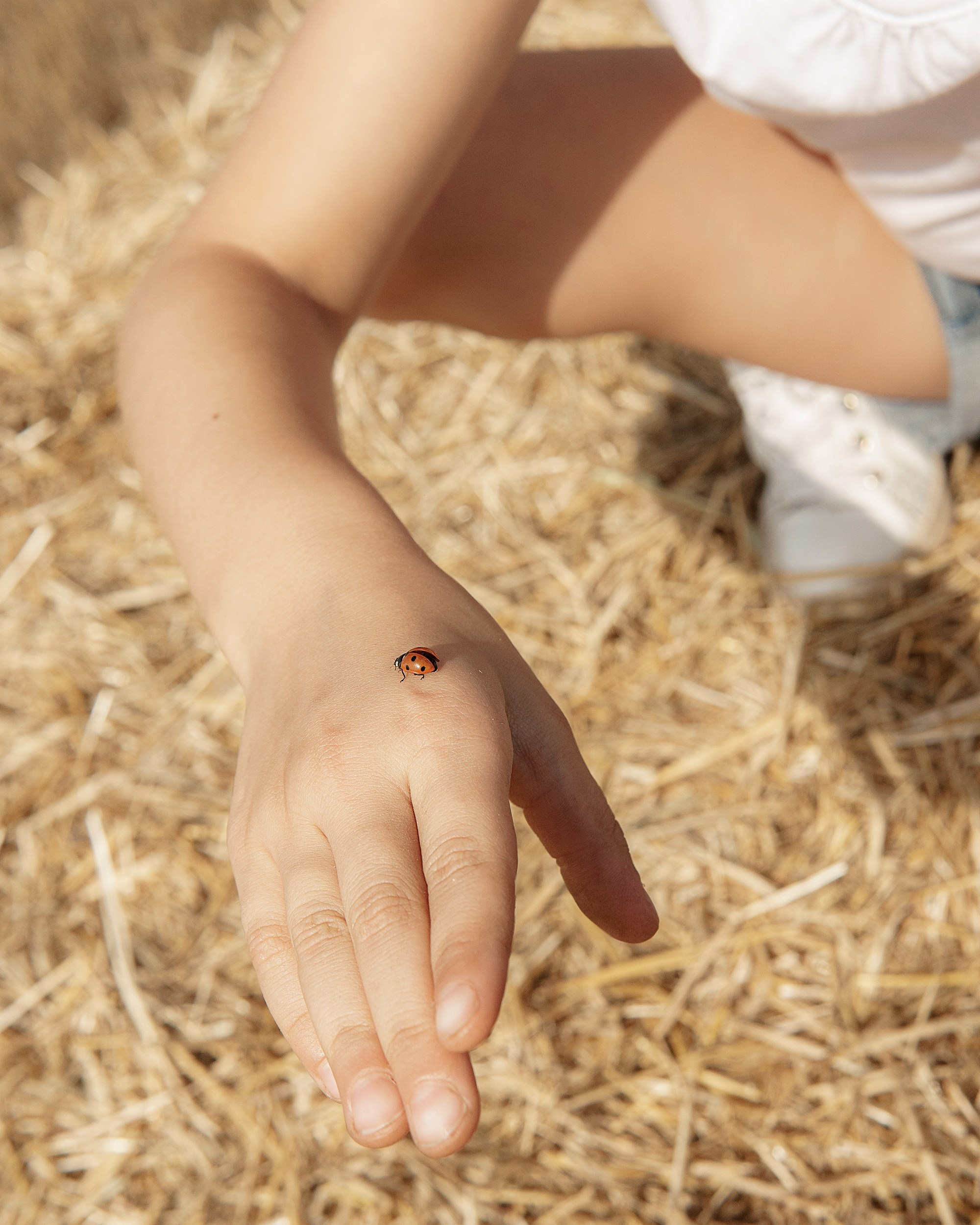 Василина и Павла. Елена Симонова