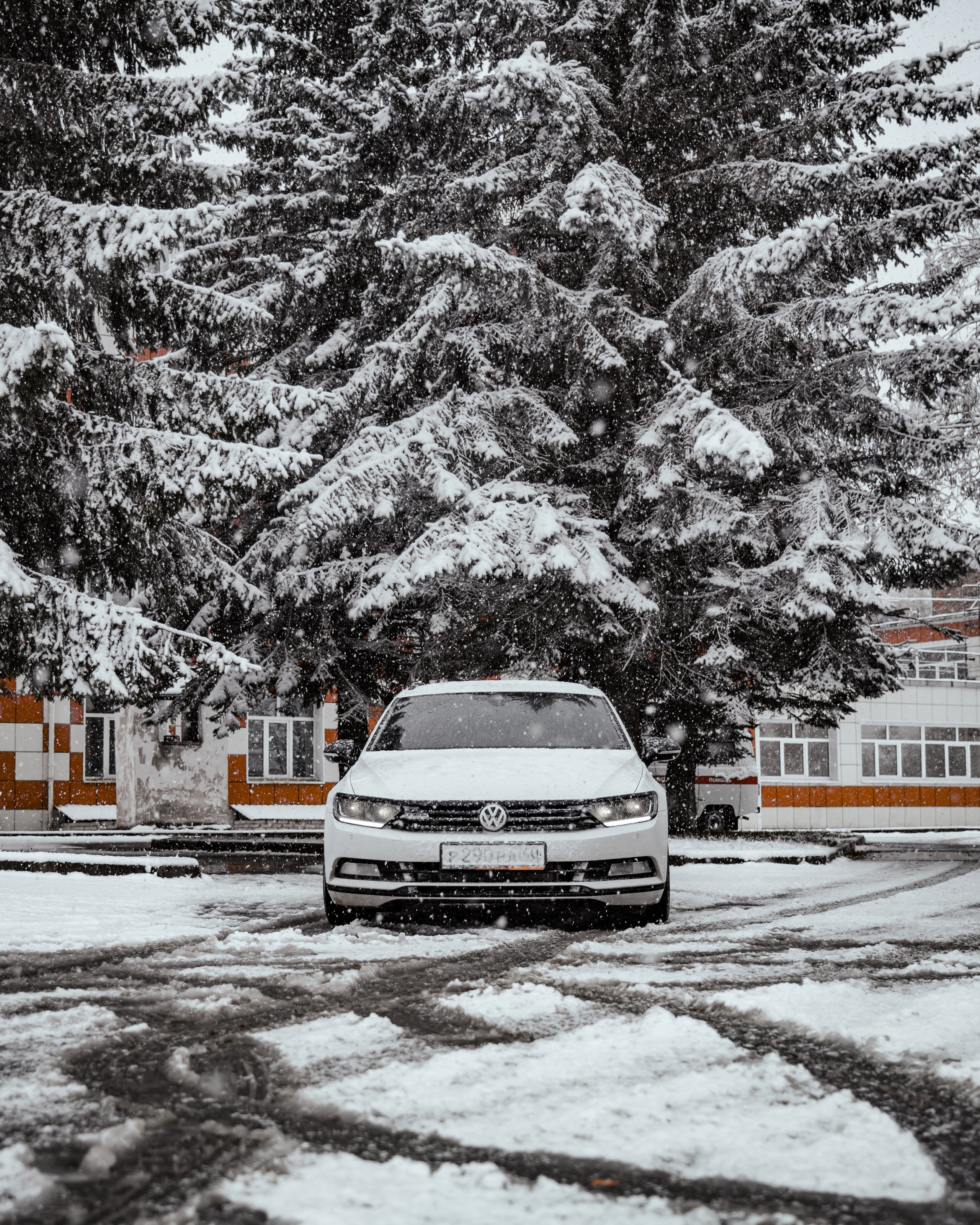 VW Passat B8 Project. Vlad Trykov