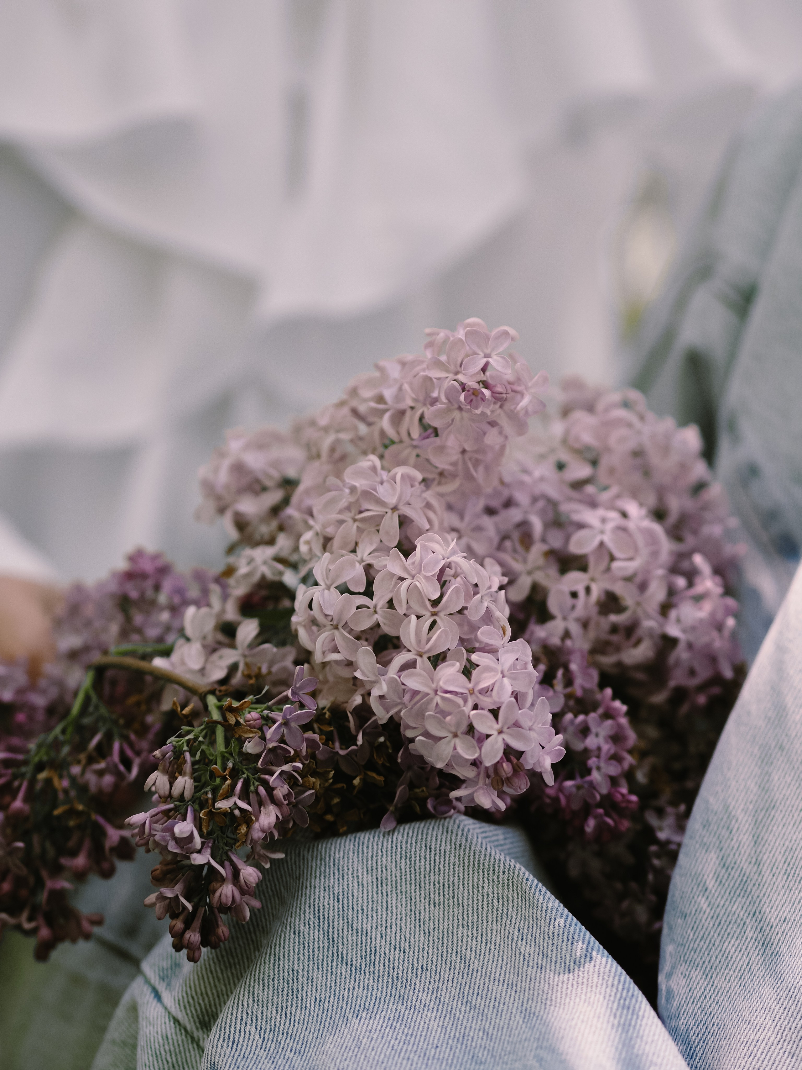 Олеся. Фотограф Рязань. Семейный Свадебный фотограф