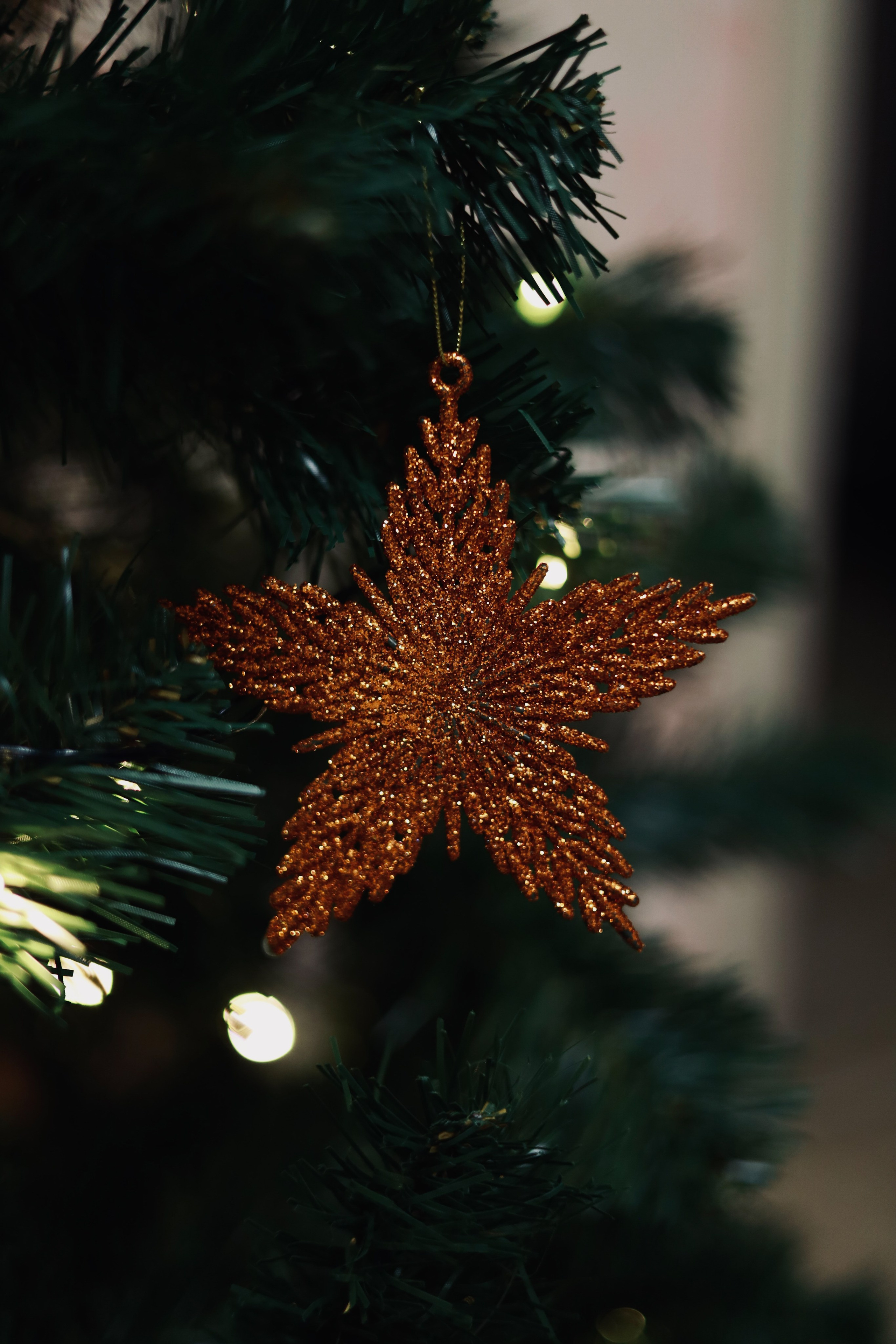 Все, что вокруг меня. Фотограф Евгения Ошкина, Саранск