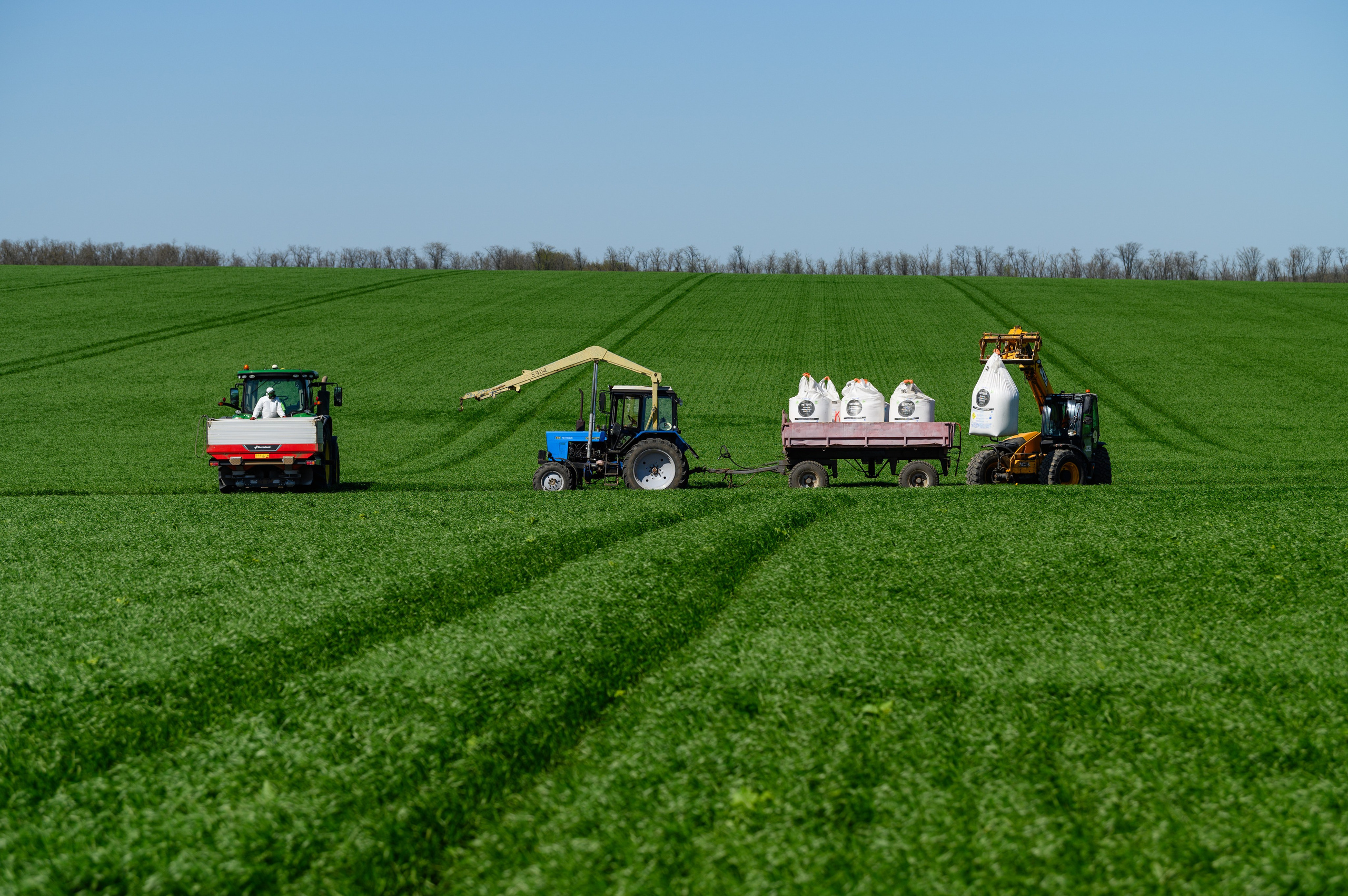 Проекты. Профессиональный фотограф Вячеслав Плацында | Липецк |