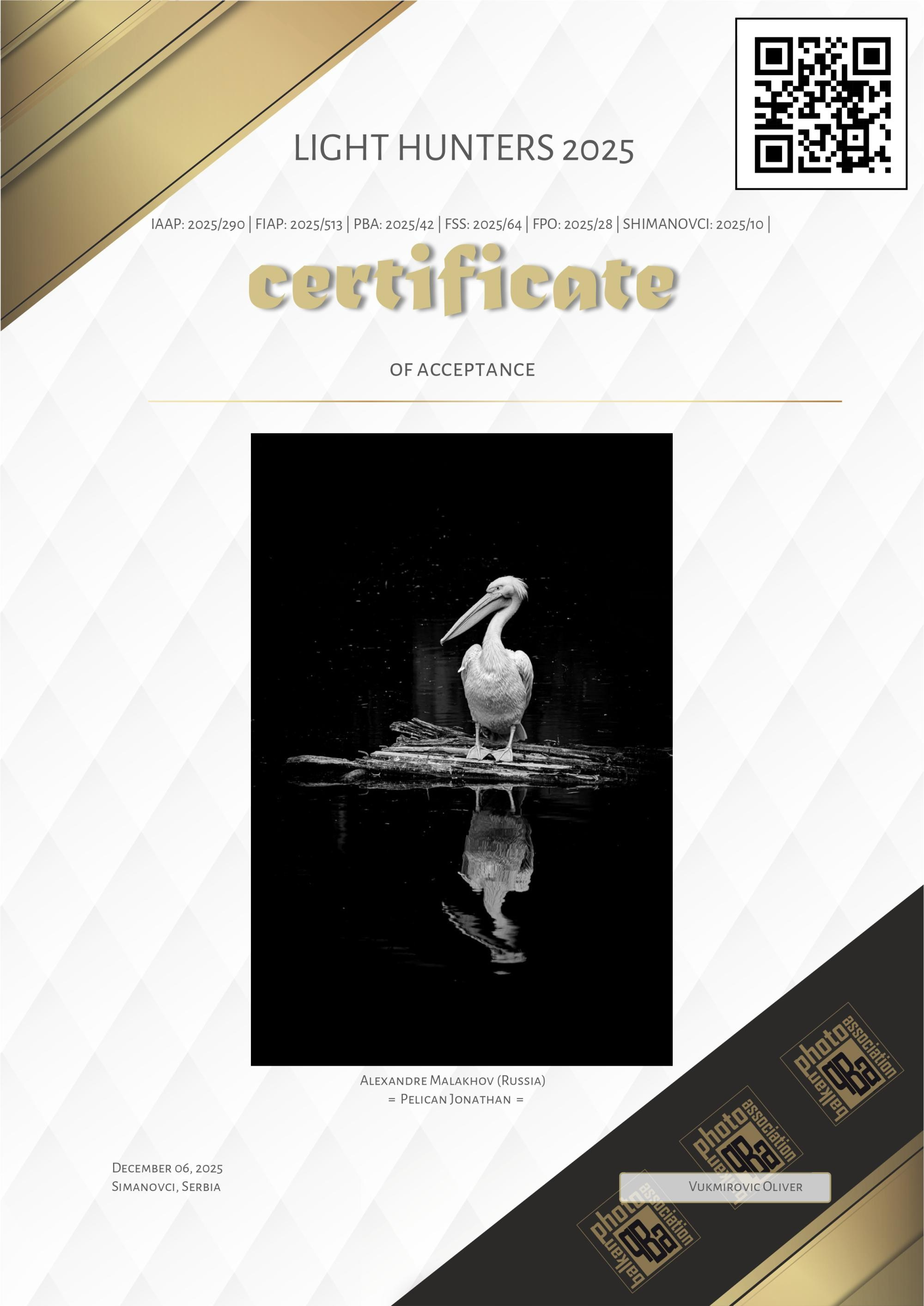 Достижения. Фотограф в Москве, фотожурналист Александр Малахов