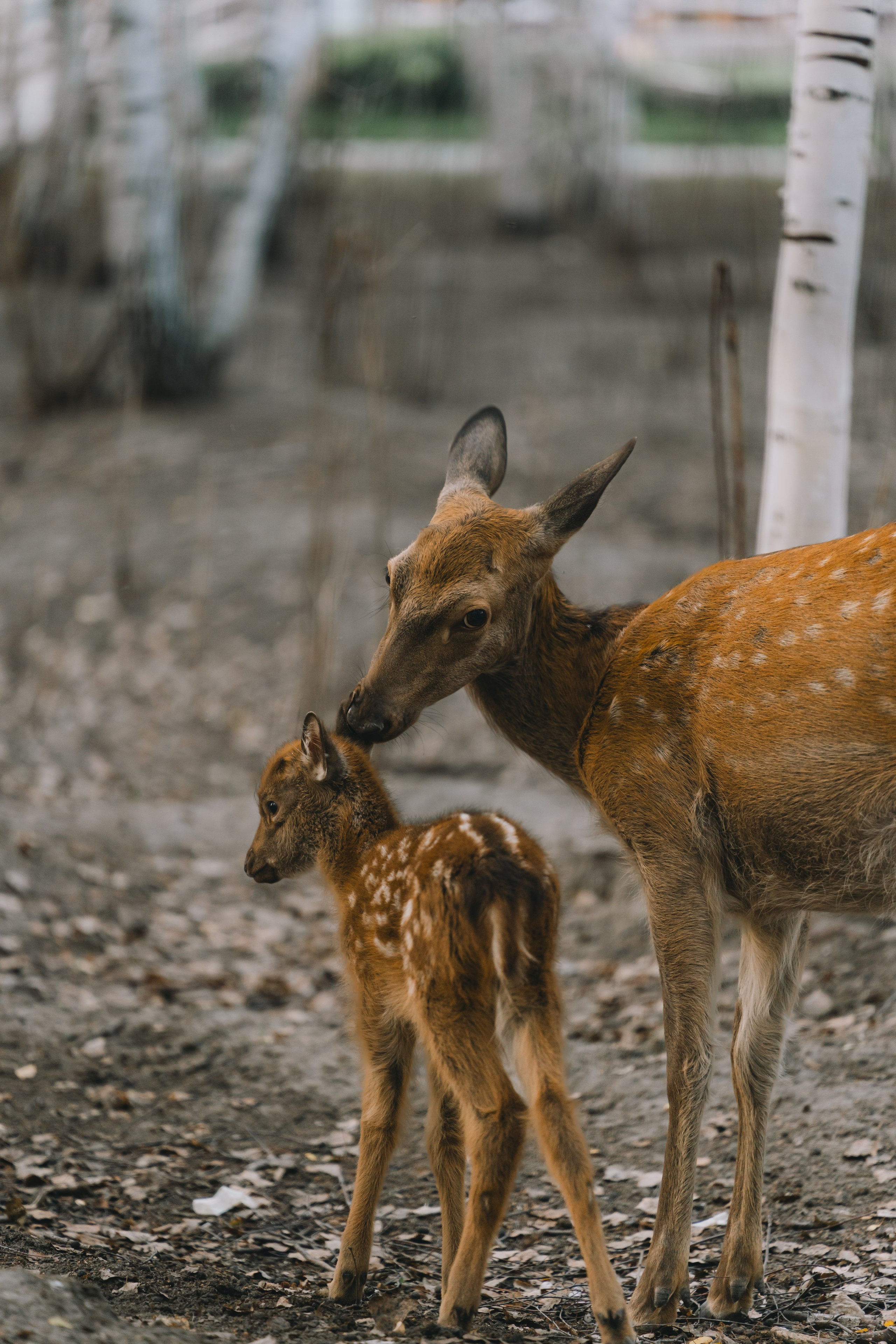 Усть-Каменогорск, Сентябрь 2024