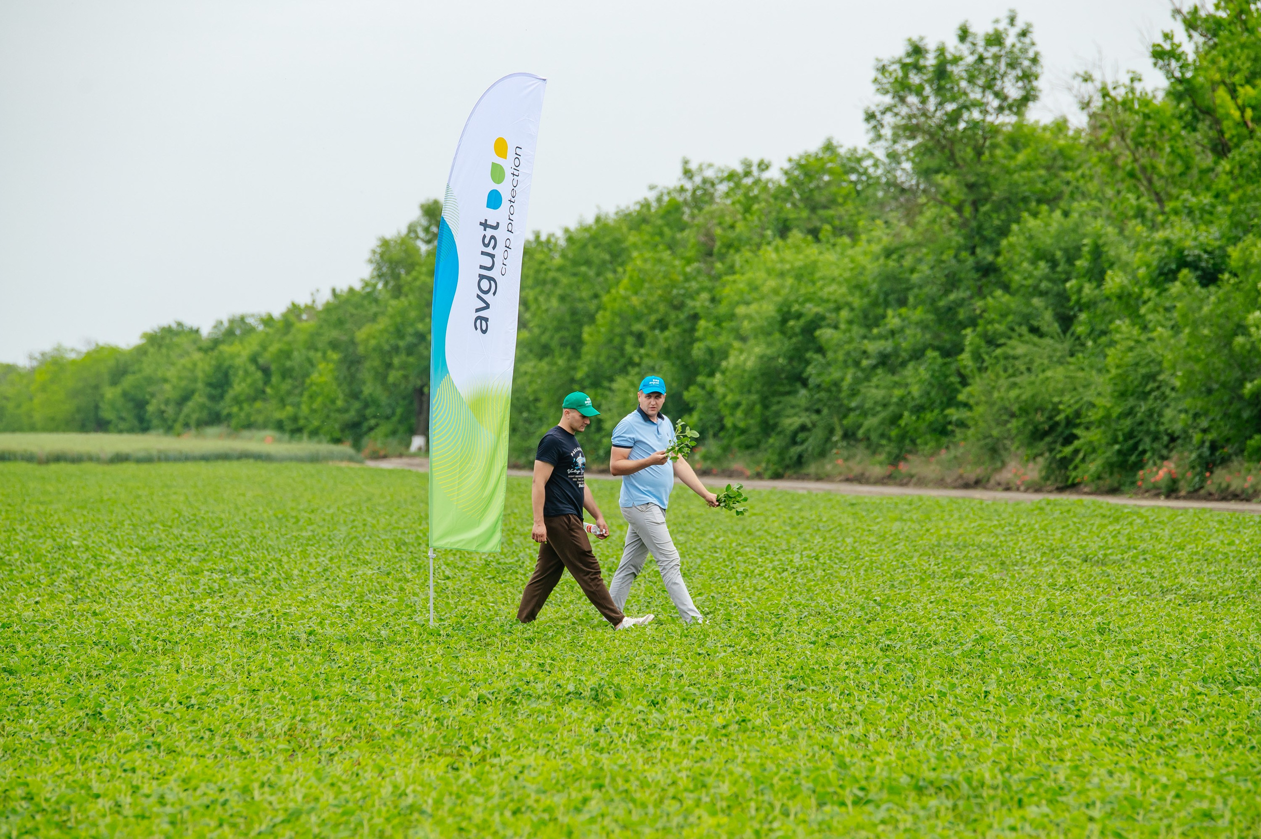 День поля. Главная