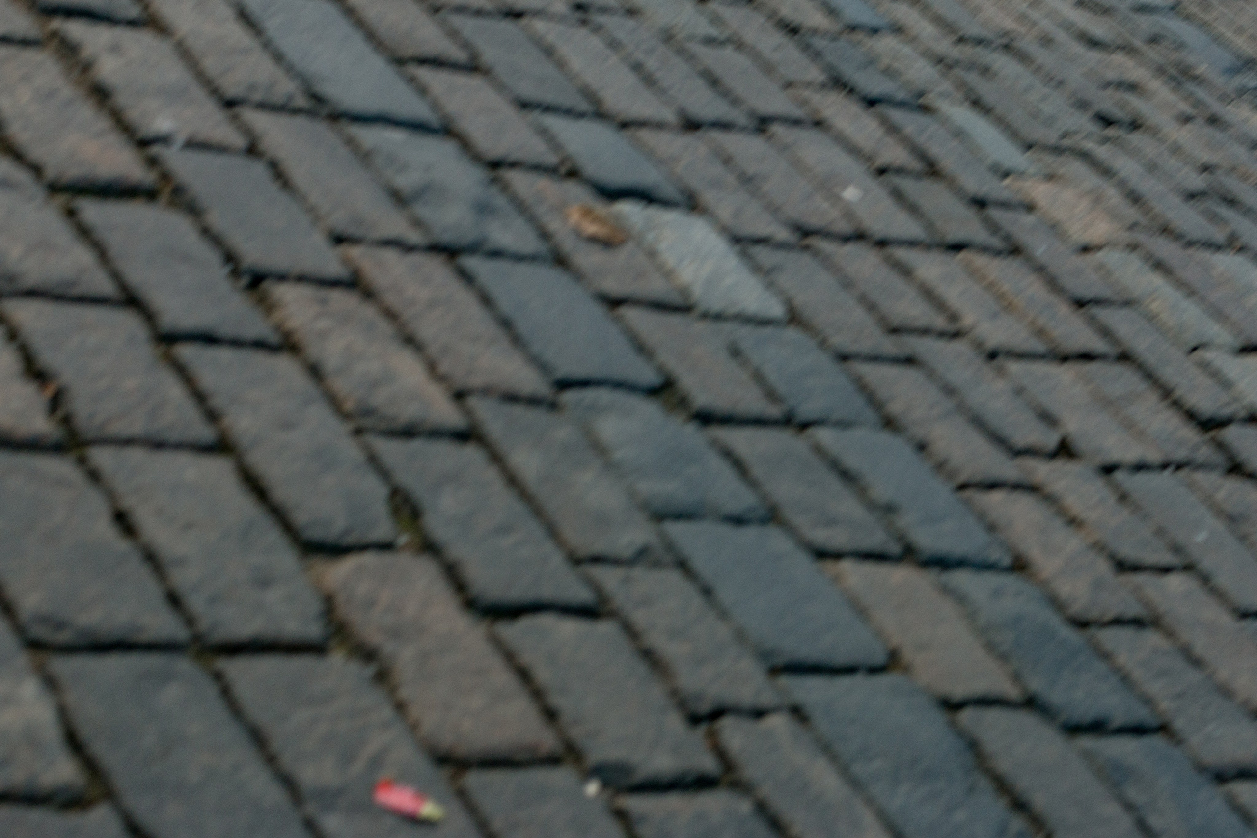 Москва. Фотограф в Сочи