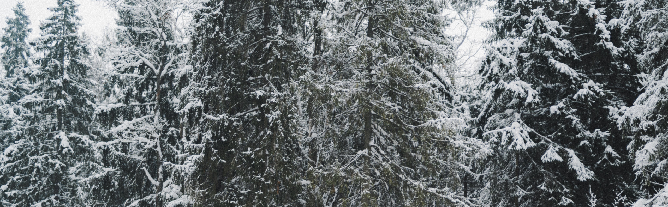 Лайфстайл фотосъёмка для кофейной компании Fauno. Фотограф Илья К. в Москве