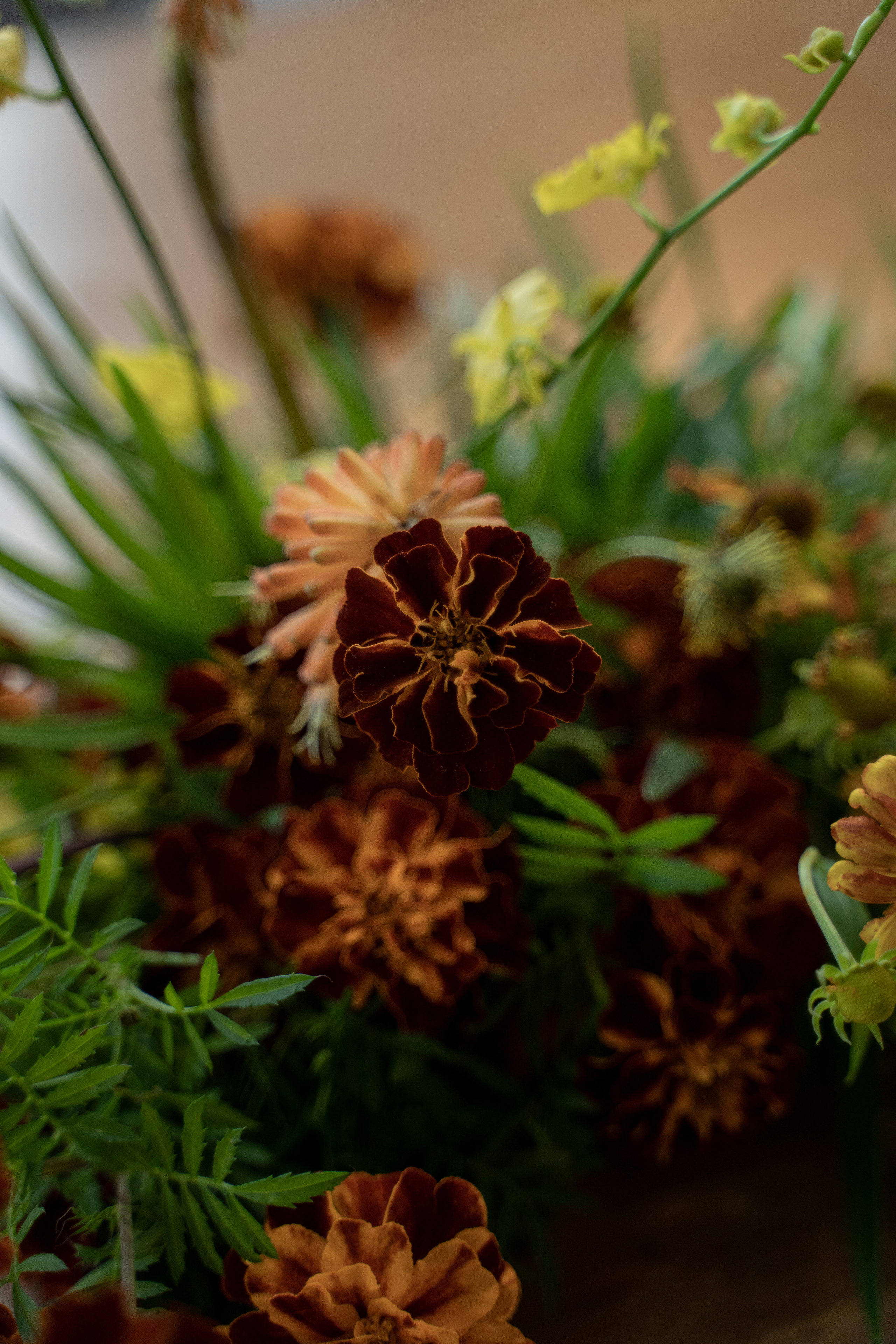 Настя и Глеб. Фотограф Анна Котова