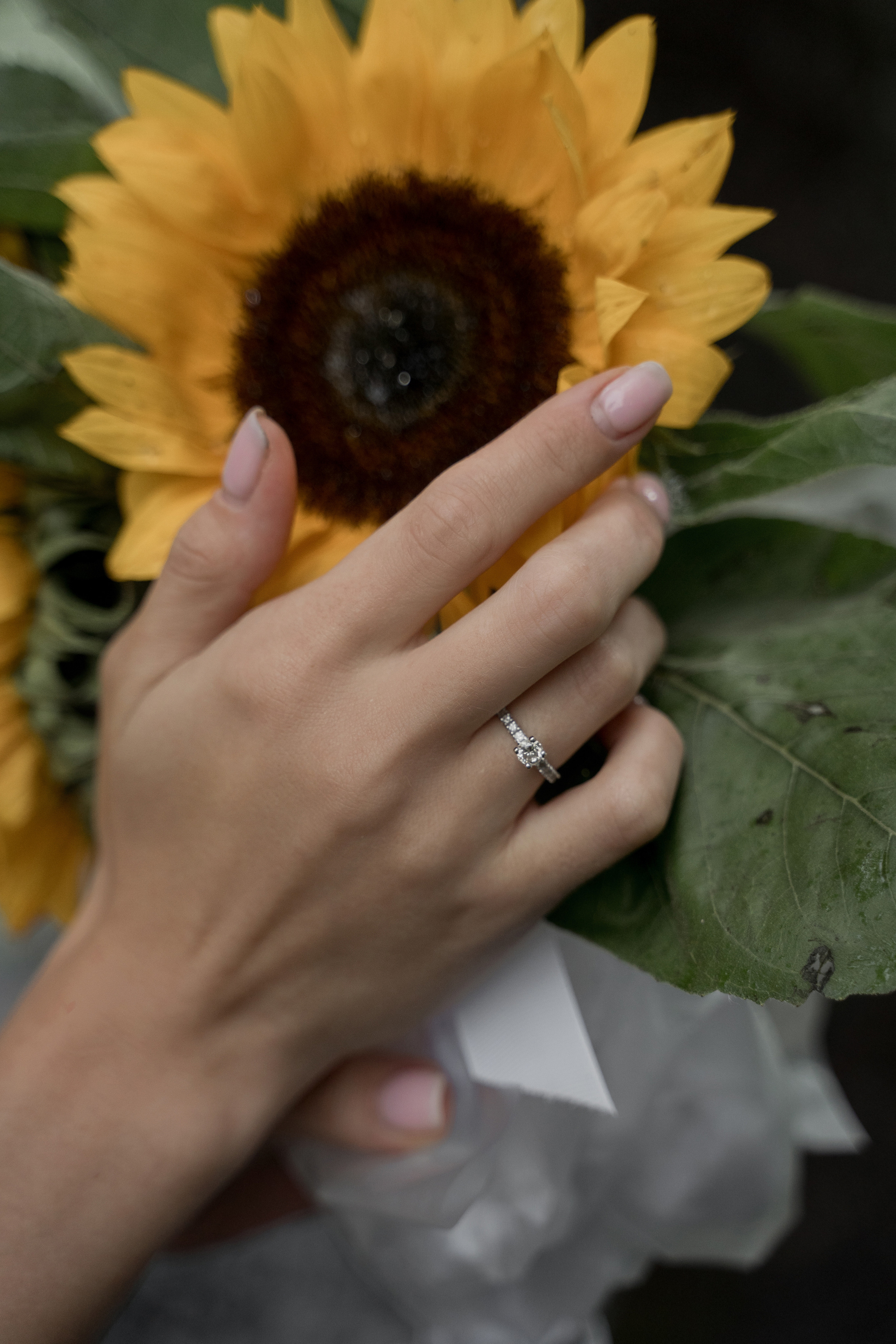 Диана и Миша. Фотограф Анна Котова