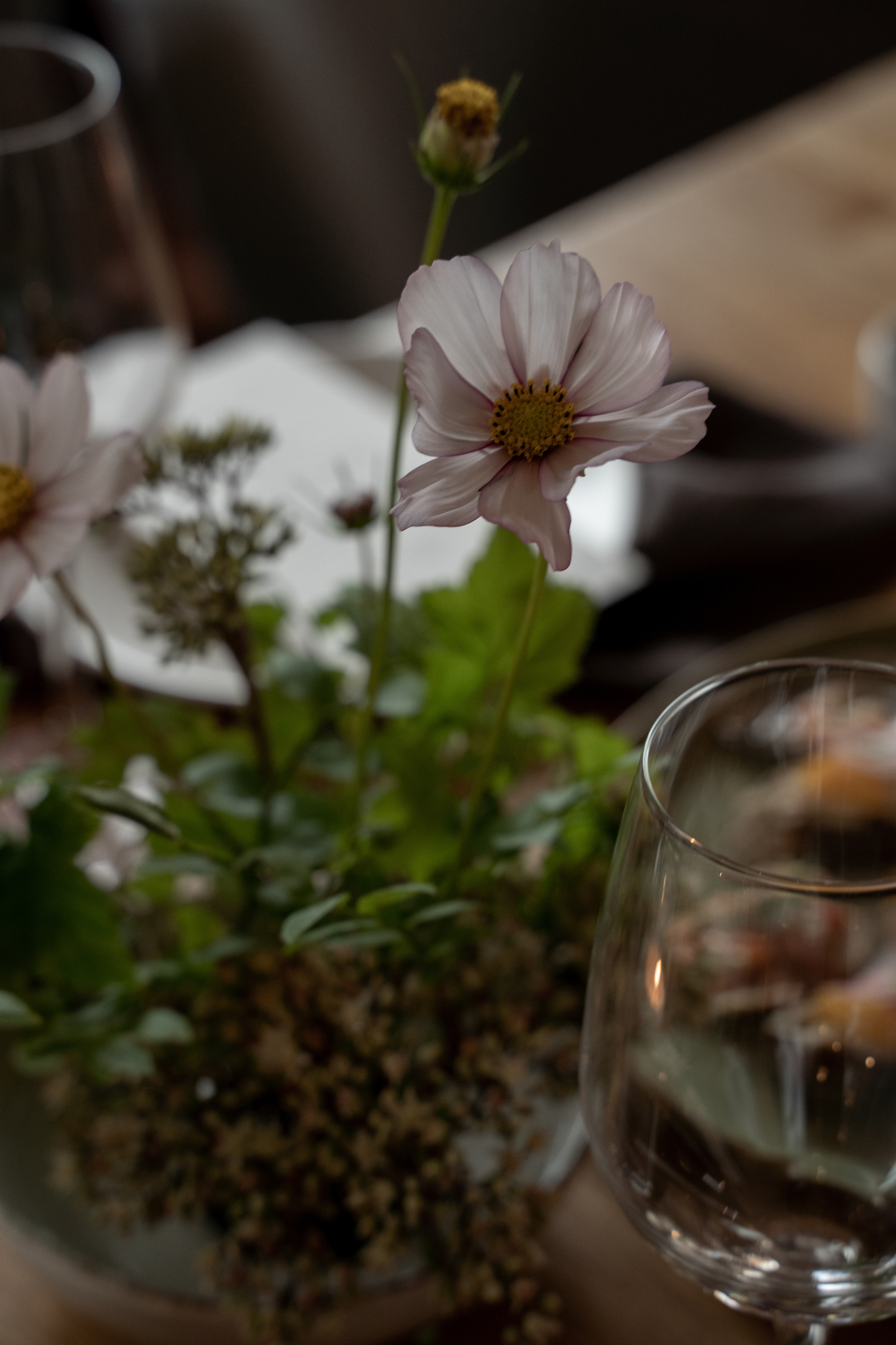 Уютный ужин в кругу близких. Фотограф Анна Котова