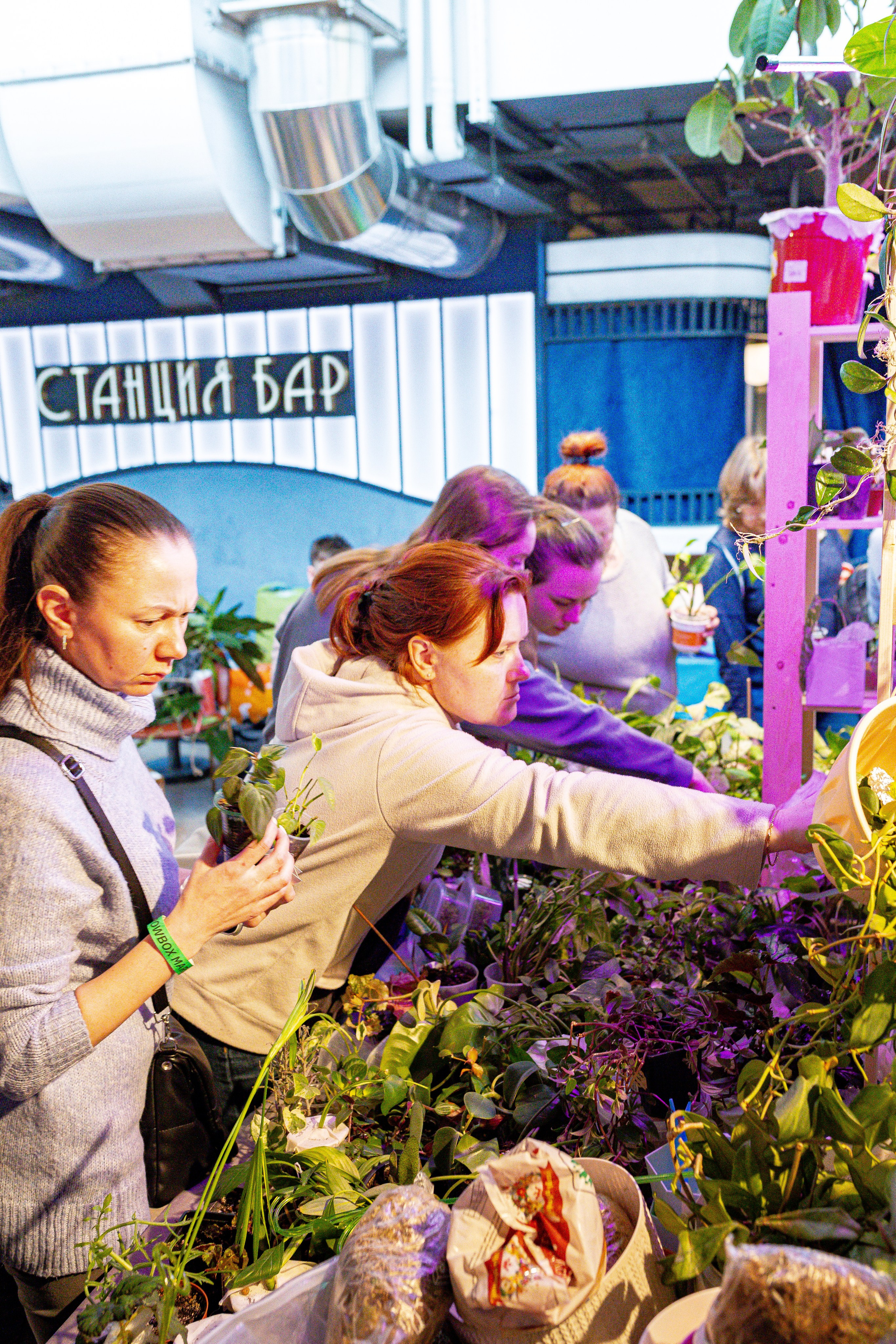 Growbox 1–2 марта. Александра Куликова фотограф, Москва