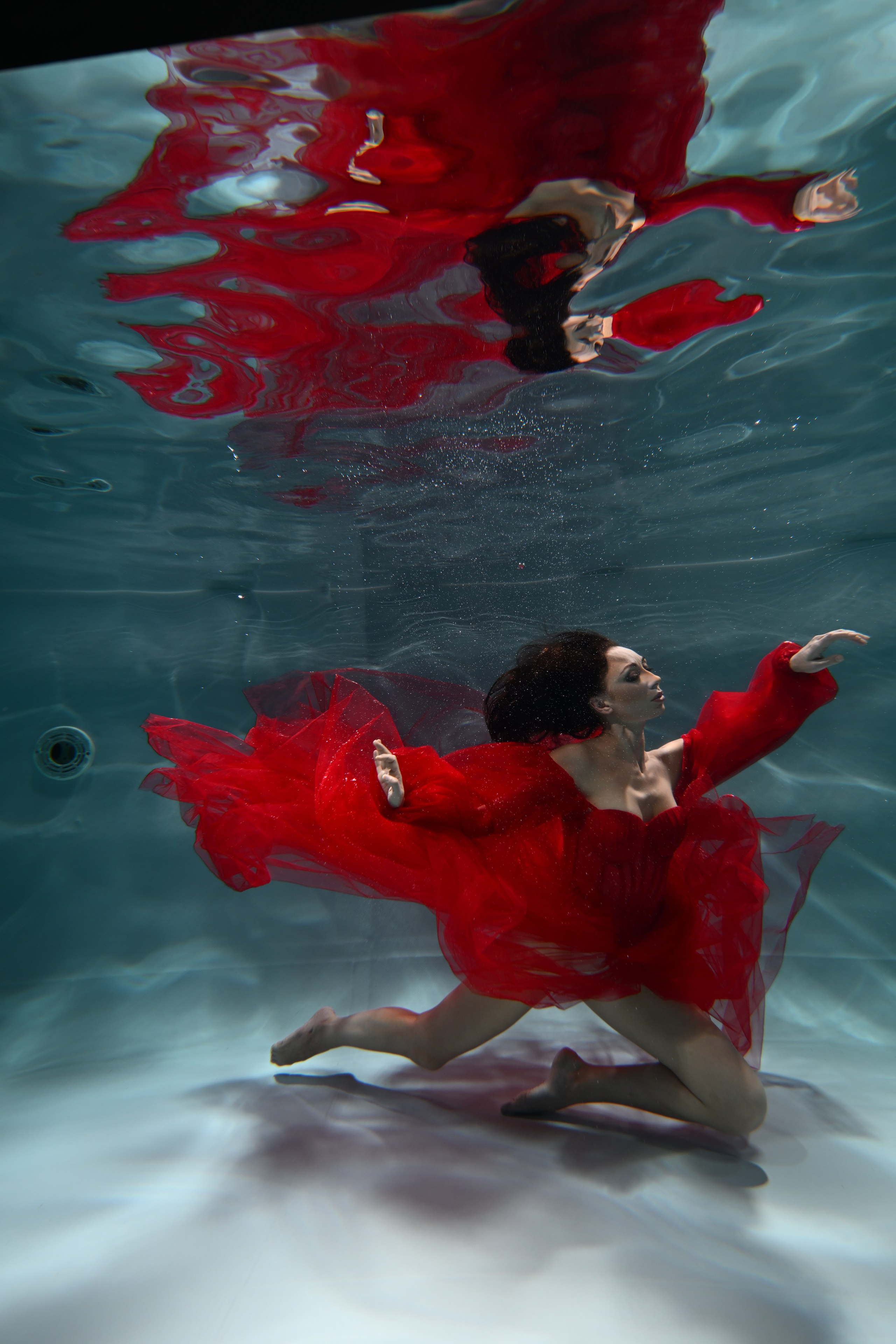 Аква студия НЕМО. Фотограф в Санкт-Петербурге Сафронов Николай