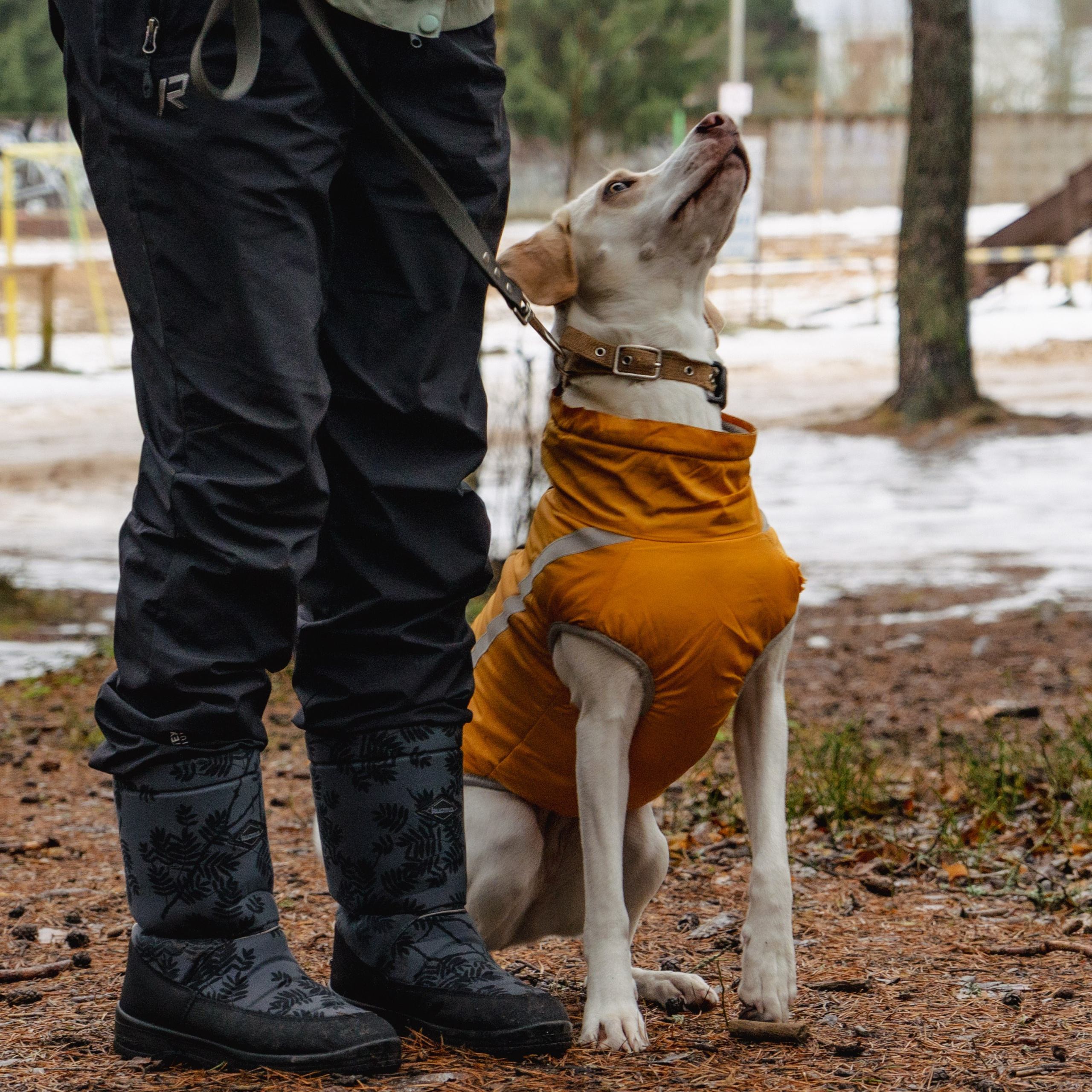 Фотосессии Пушистиков. Фотограф в Санкт-Петербурге Виктория Барышникова