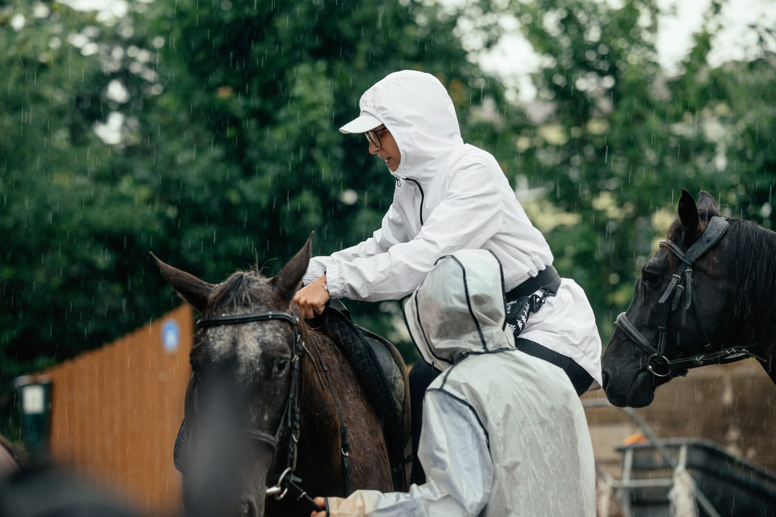 Конный клуб. Репортаж — Бэки — Портреты. Москва, СПб. Алексей Назаров