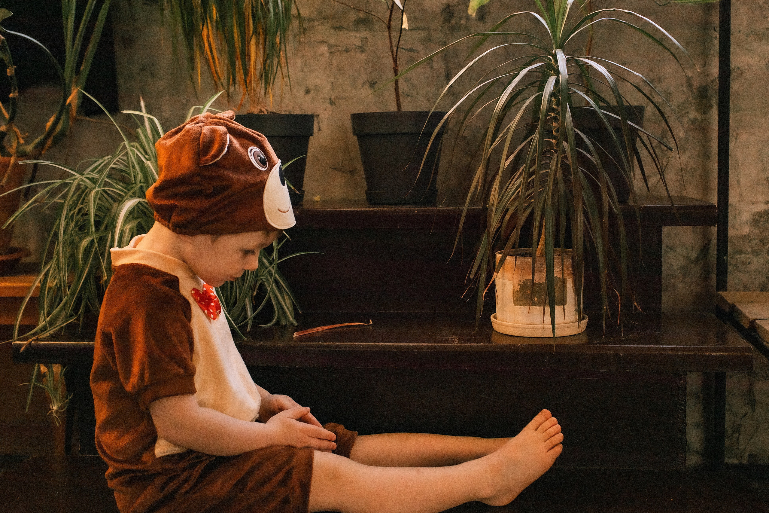 Студия Культура. Семейная новогодняя съемка. Фотограф Софья Васильковская