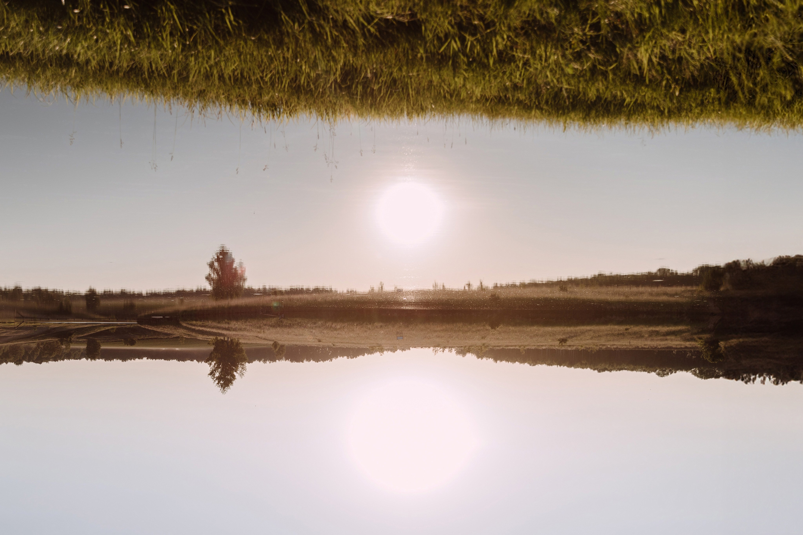 Солнце мое. Свадебный фотограф |Орел|Москва Анна Плешкова