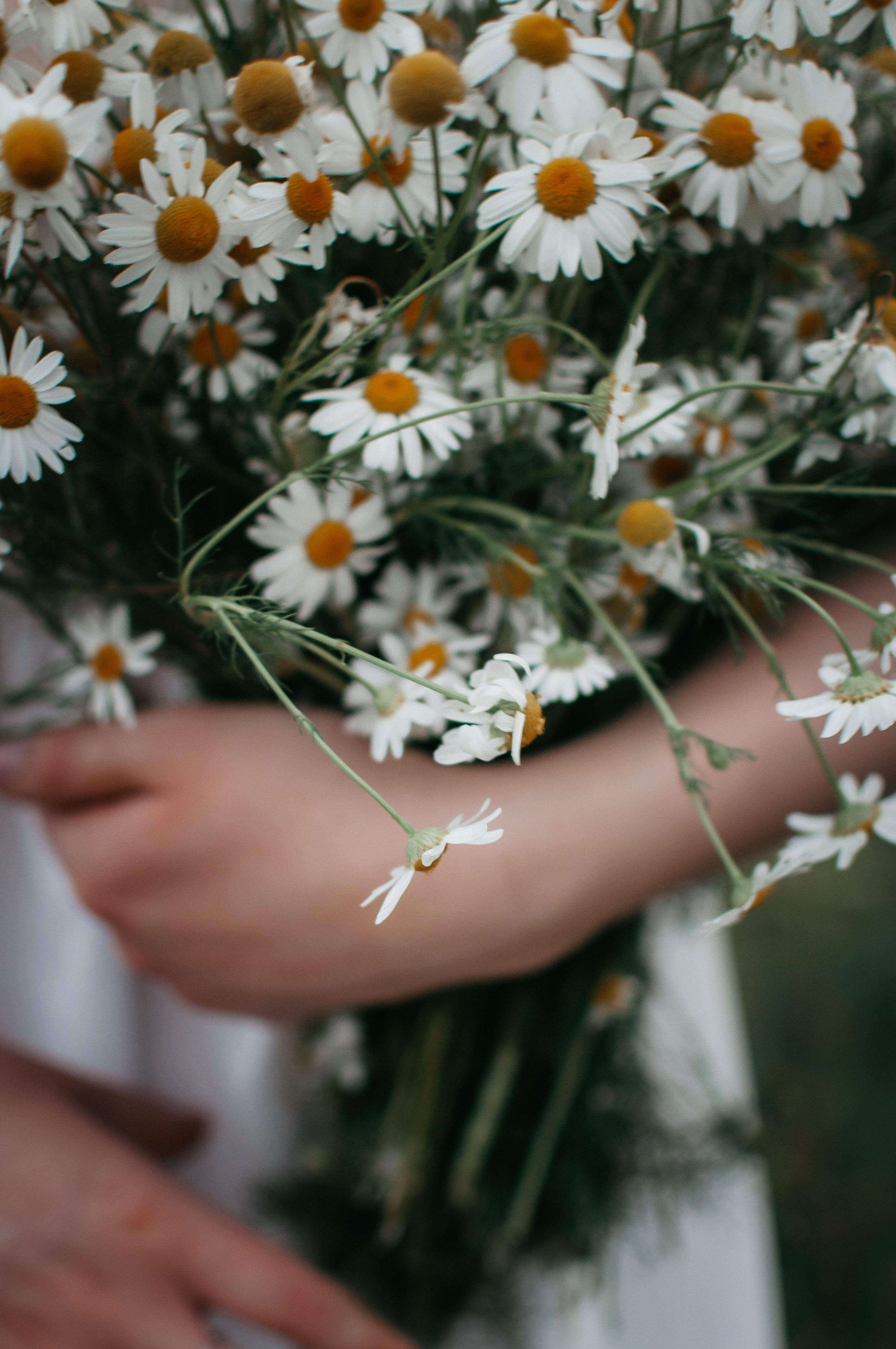 Прогулочная фотосессия. Фотограф Тюмень Александра Звягинцева