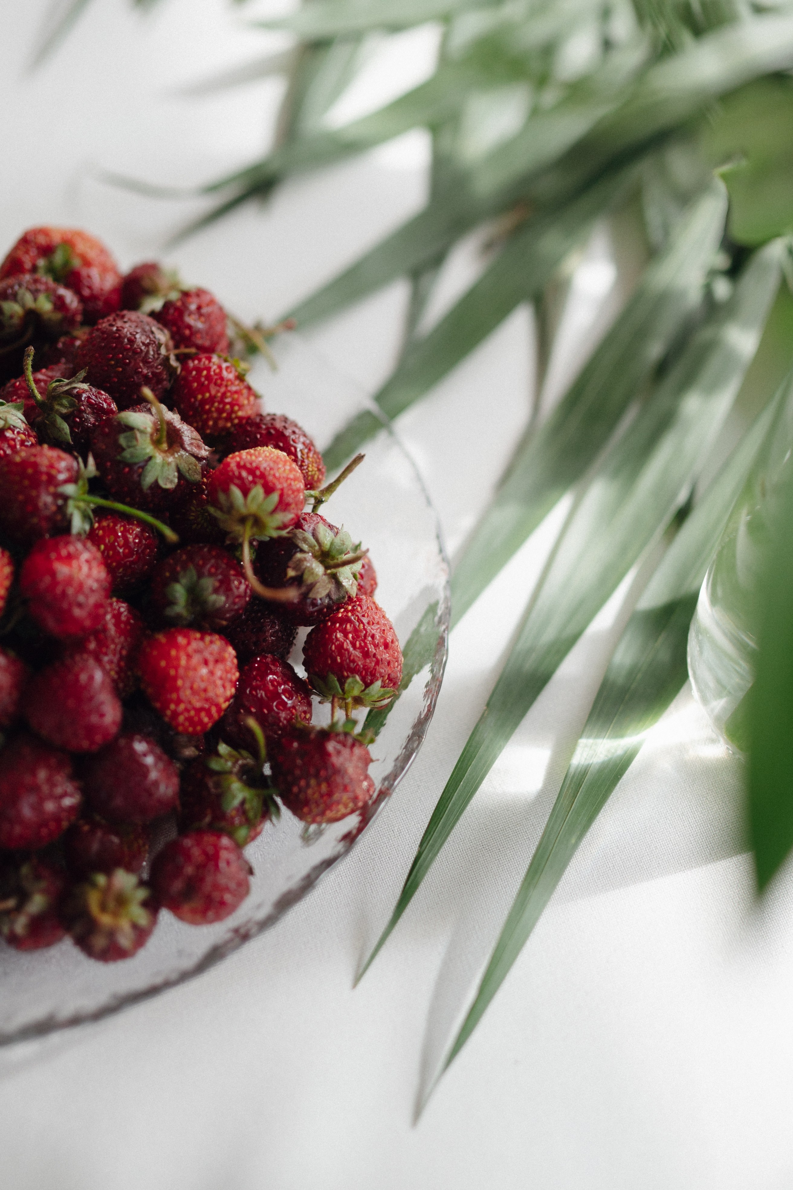 Кирилл и Анастасия. Свадебный фотограф Надежда Долгова
