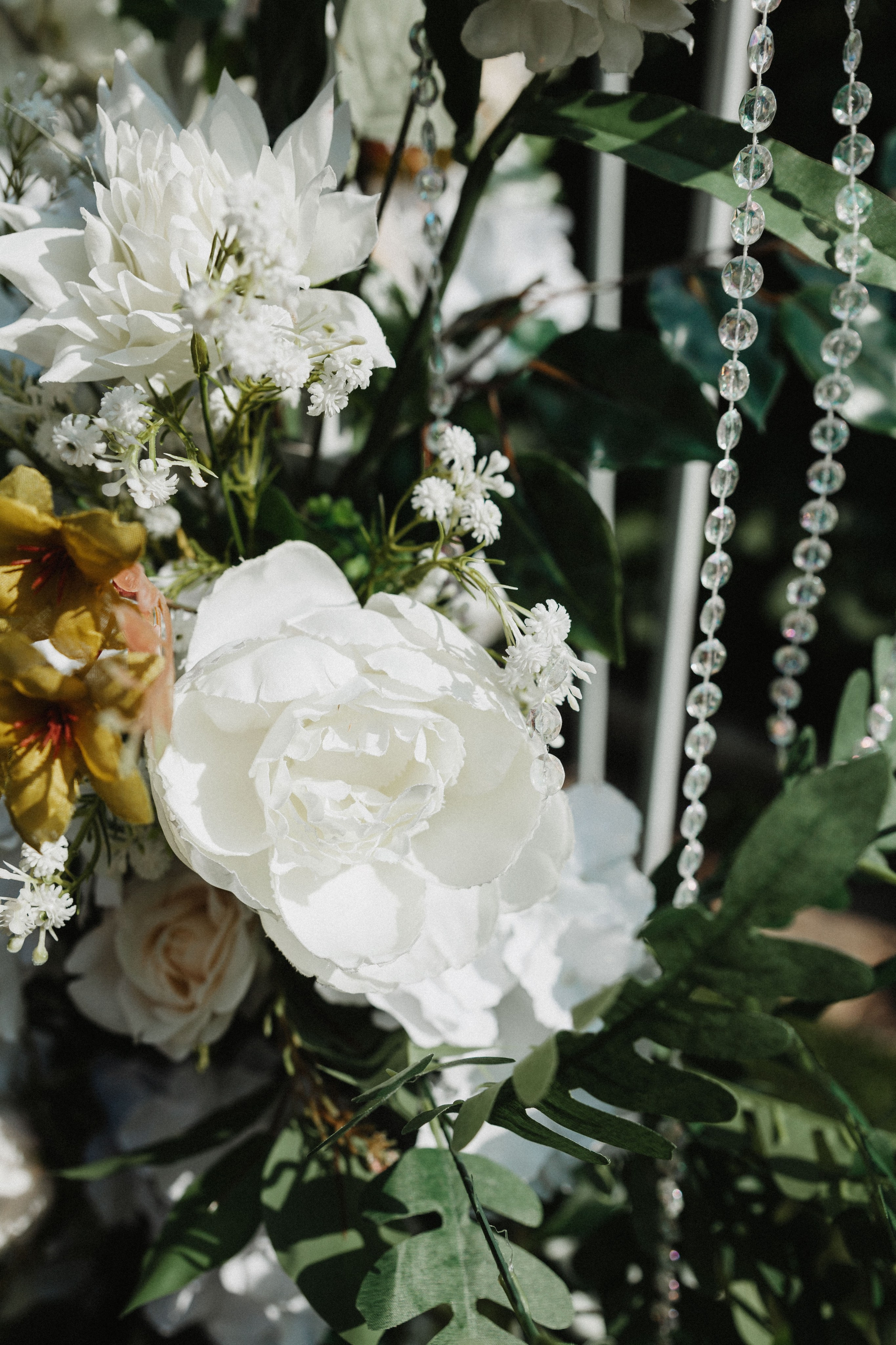 Волгины. Фотограф ЕКБ