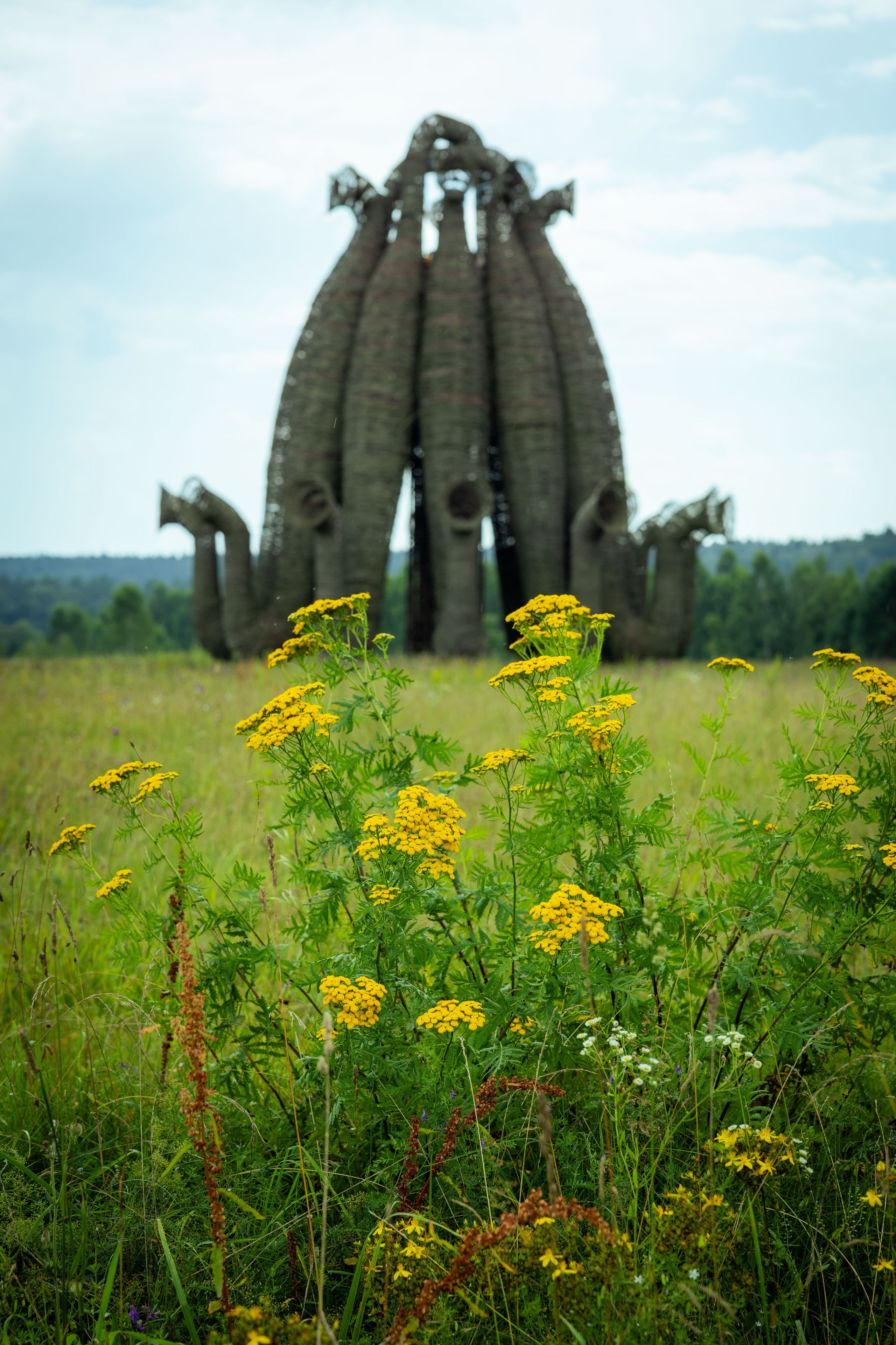 Архстояние 25–27 июля 2025. Фотограф Виноградов Константин