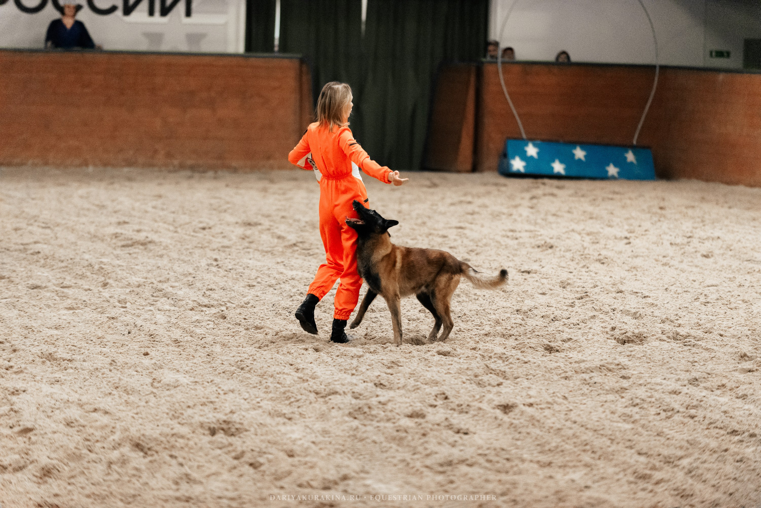 Конное представление «Дыхание Звёзд». Конный фотограф Куракина Дарья • Фотосессии с лошадьми