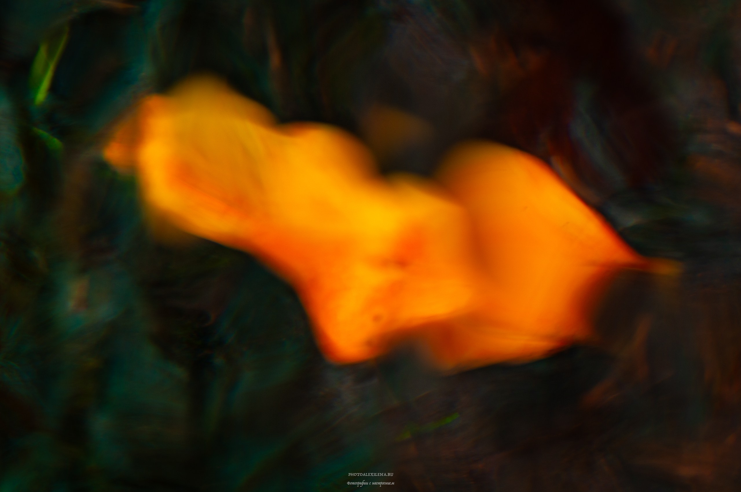 Отражение в воде. Авторские стильные фотокартины