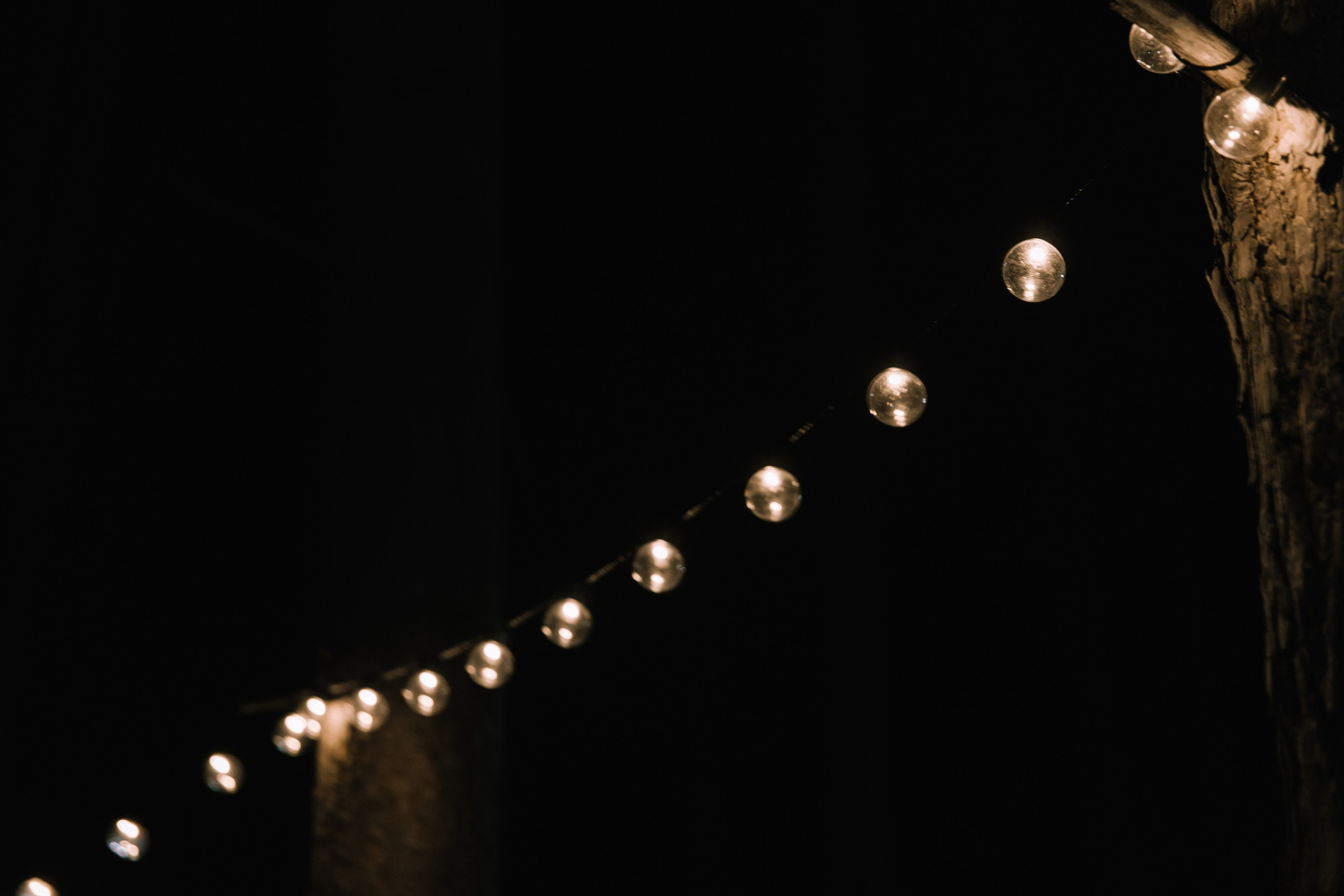 В первый день сентября. Фотограф Елена Краснопевцева