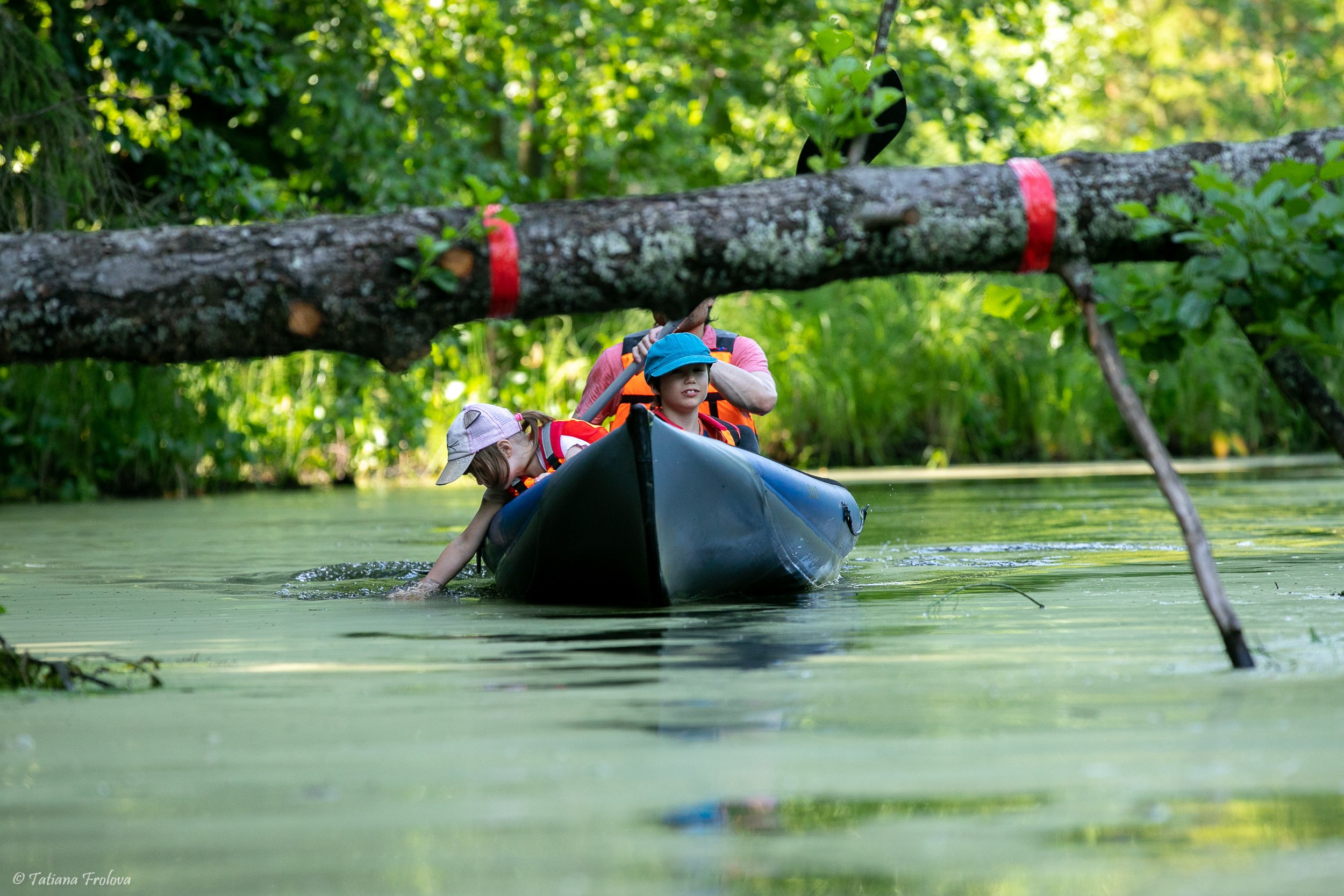 Фотоочет о сплаве на байдарках вместе с собаками. Фотограф-анималист в Москве и Московской области Татьяна Фролова