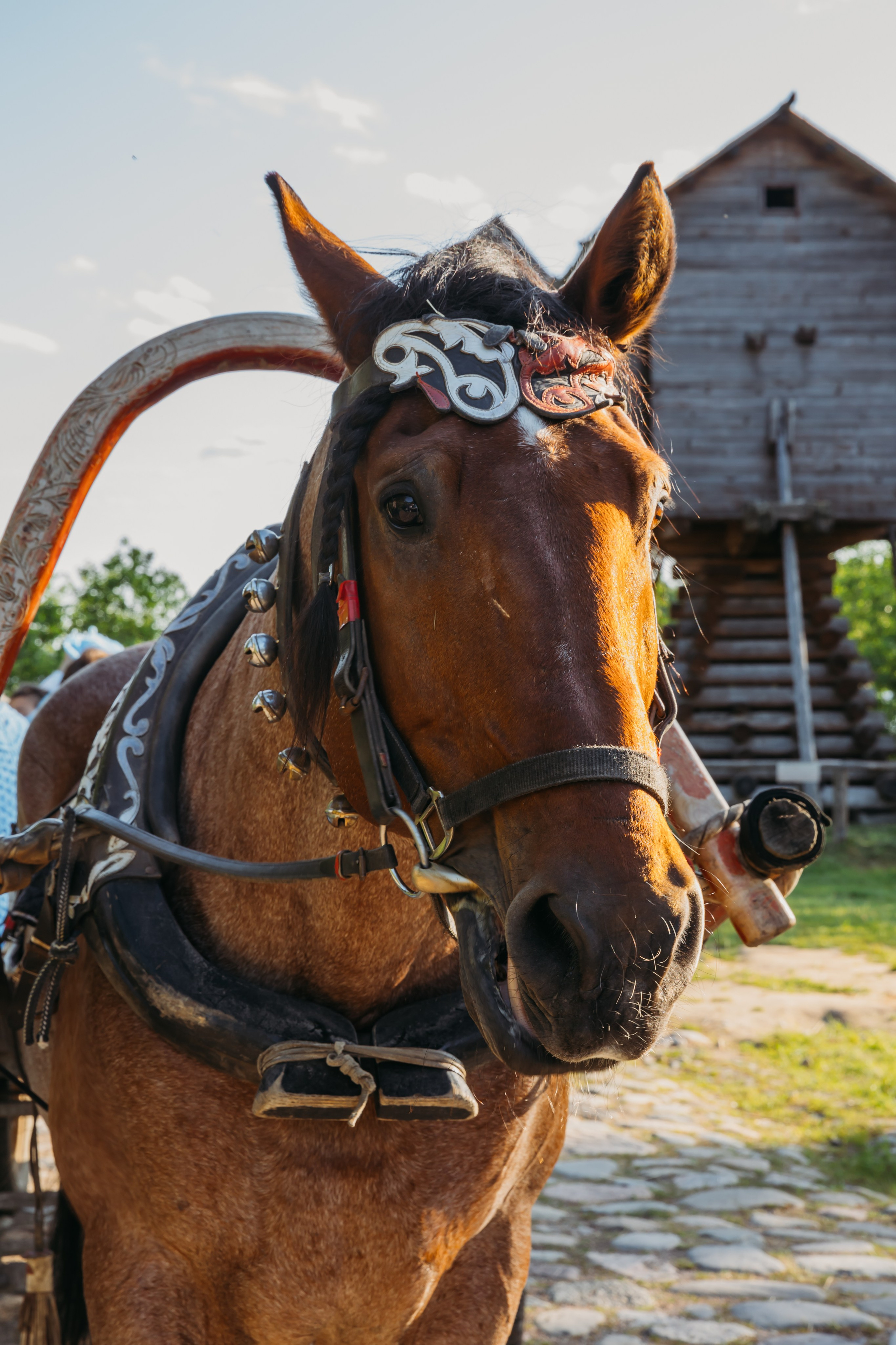 Родные люди «Мандроги». Леся Гаранина. Семейный фотограф/видеограф Москва и область
