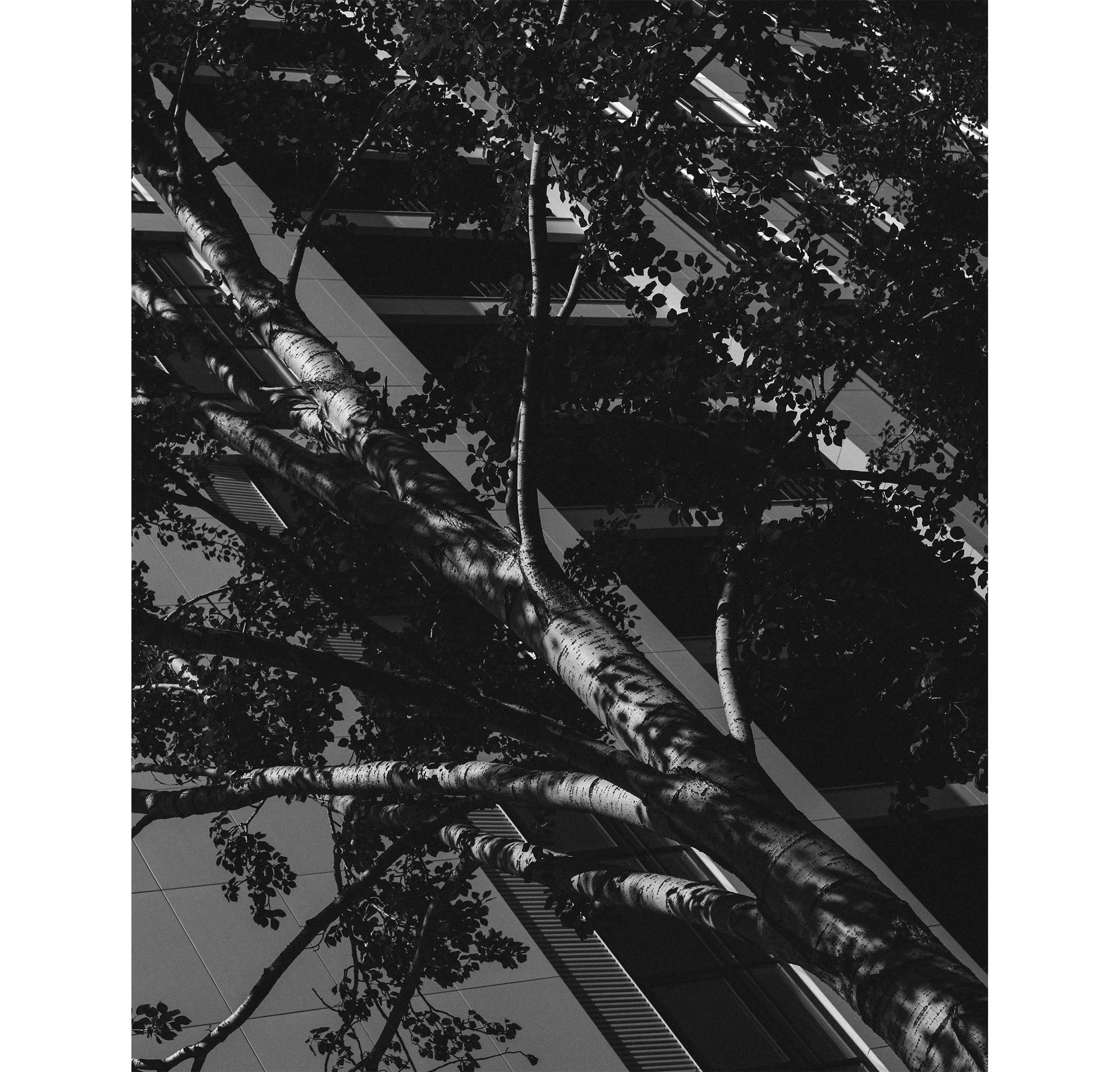 Ekb2.0. Фотограф/дизайнер в Екатеринбурге Хитрый Дмитрий