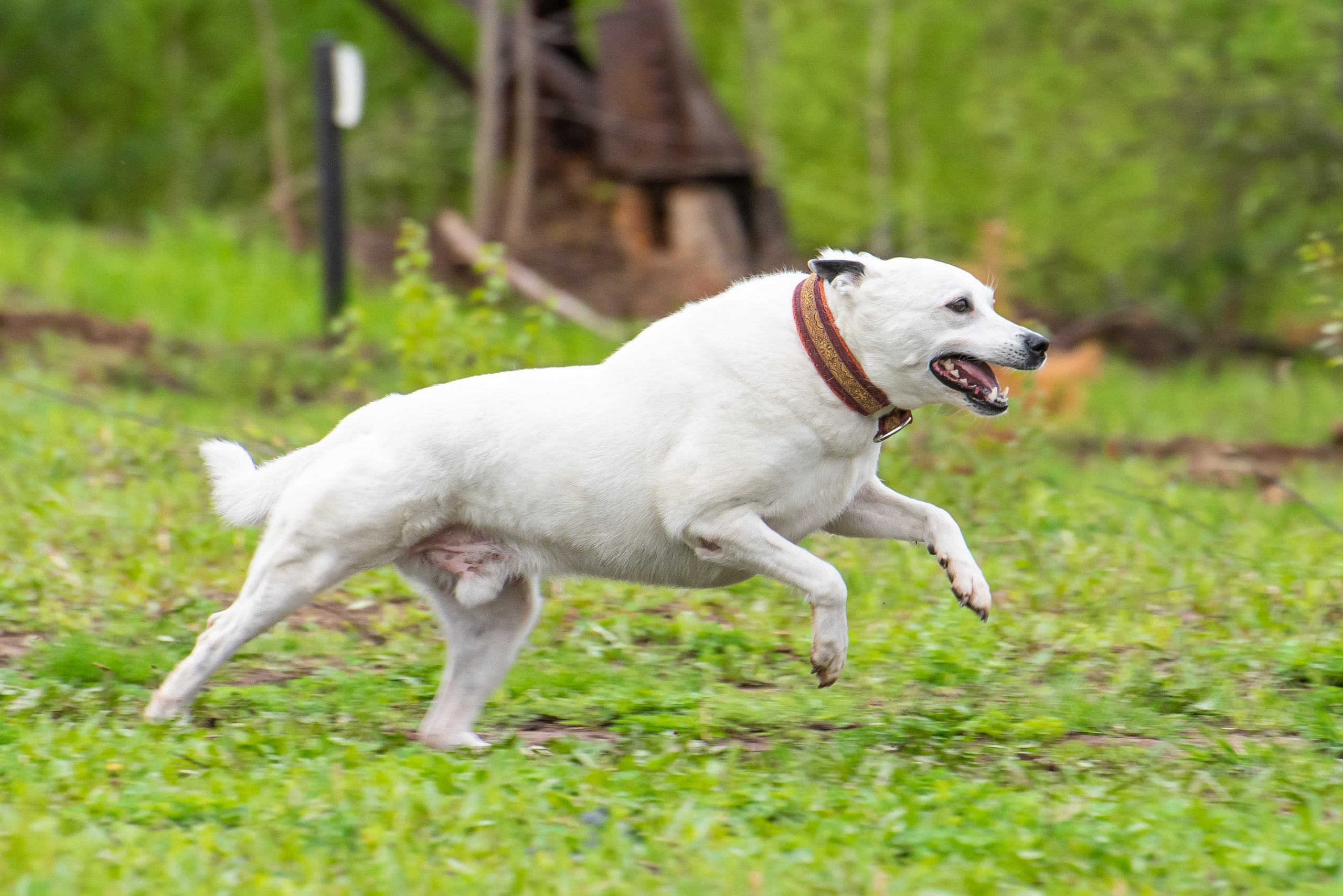 Фотографии с Курсинга. Фотограф Макс Огурцов в Нижнем Новгороде