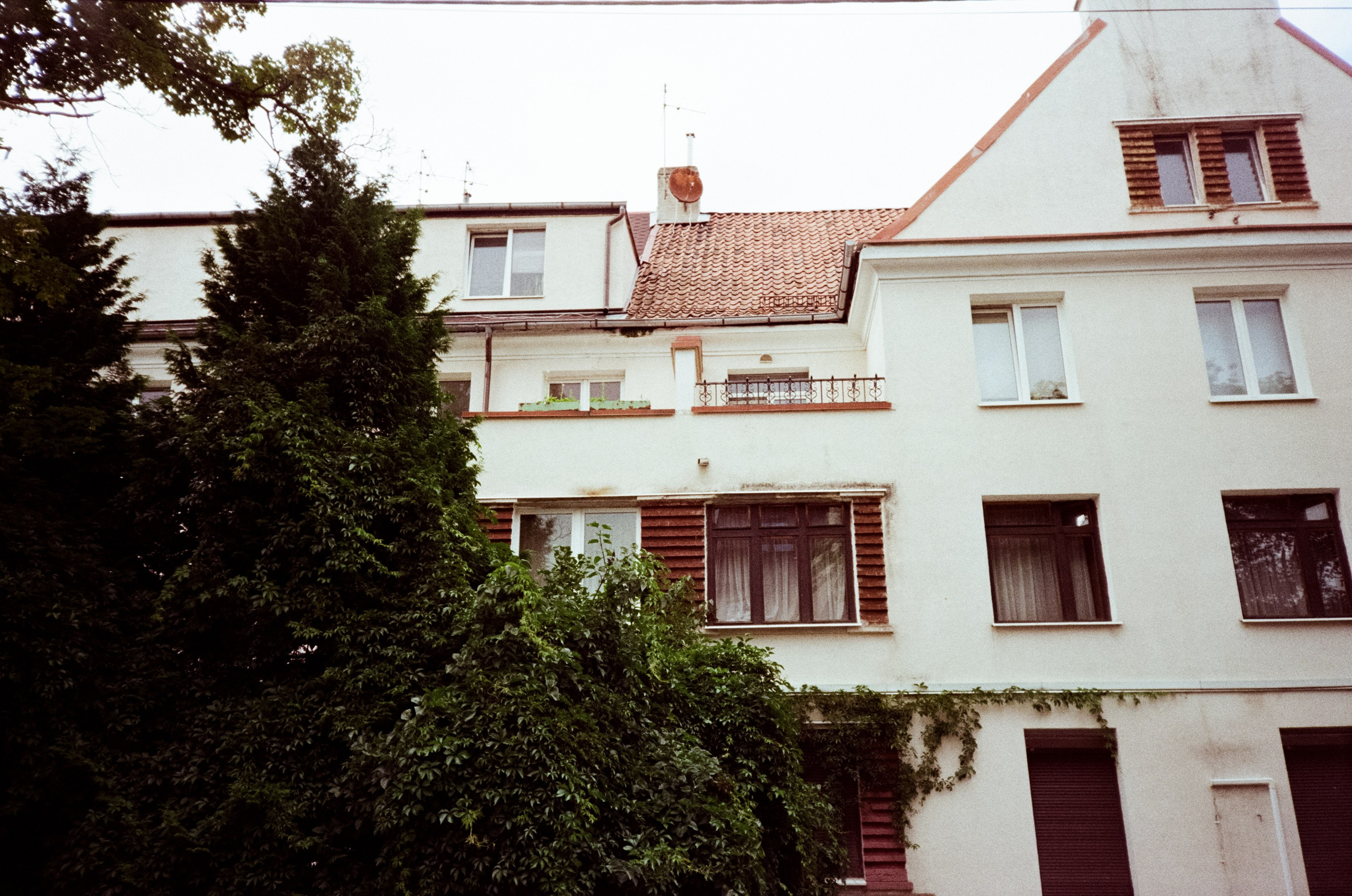 Калининградский стрит. От Амалиенау до кафе Толстой. Фотограф-документалист Мария Осокина