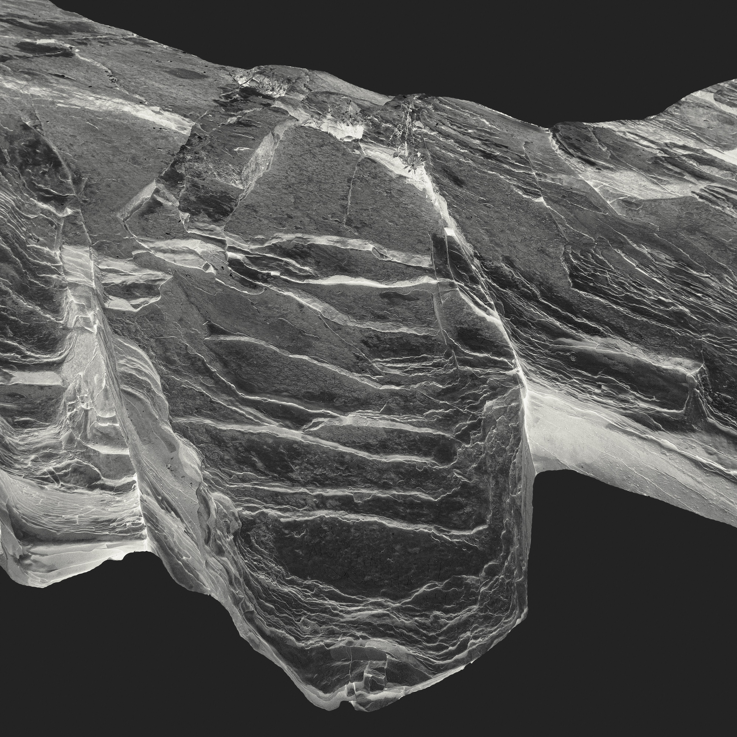 Монохромная и минималистичная фотография природы. Фотограф | Макс Коробкин