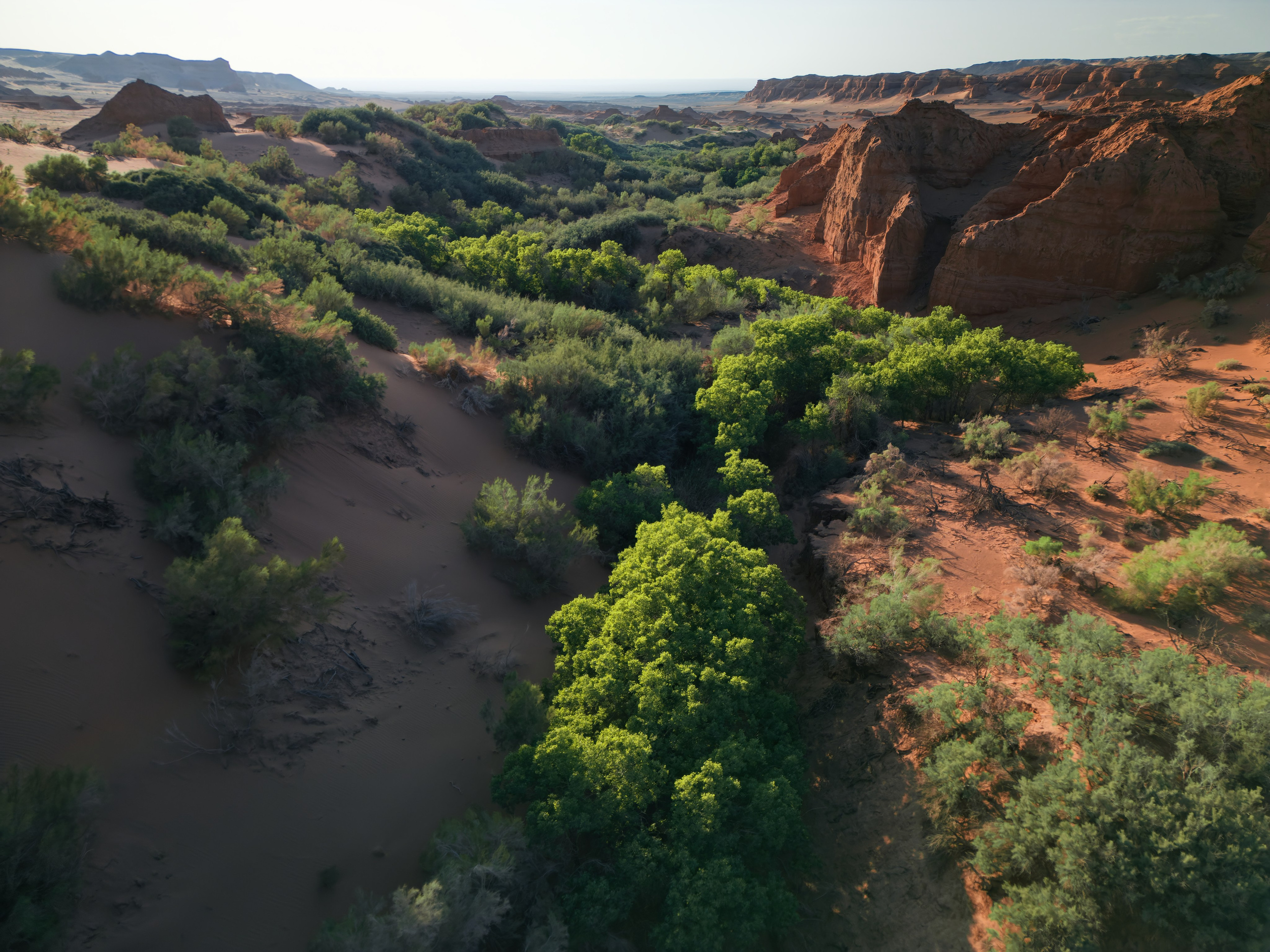 Экспедиция в Монголию (Гоби). Семоха Валерий. Фотограф