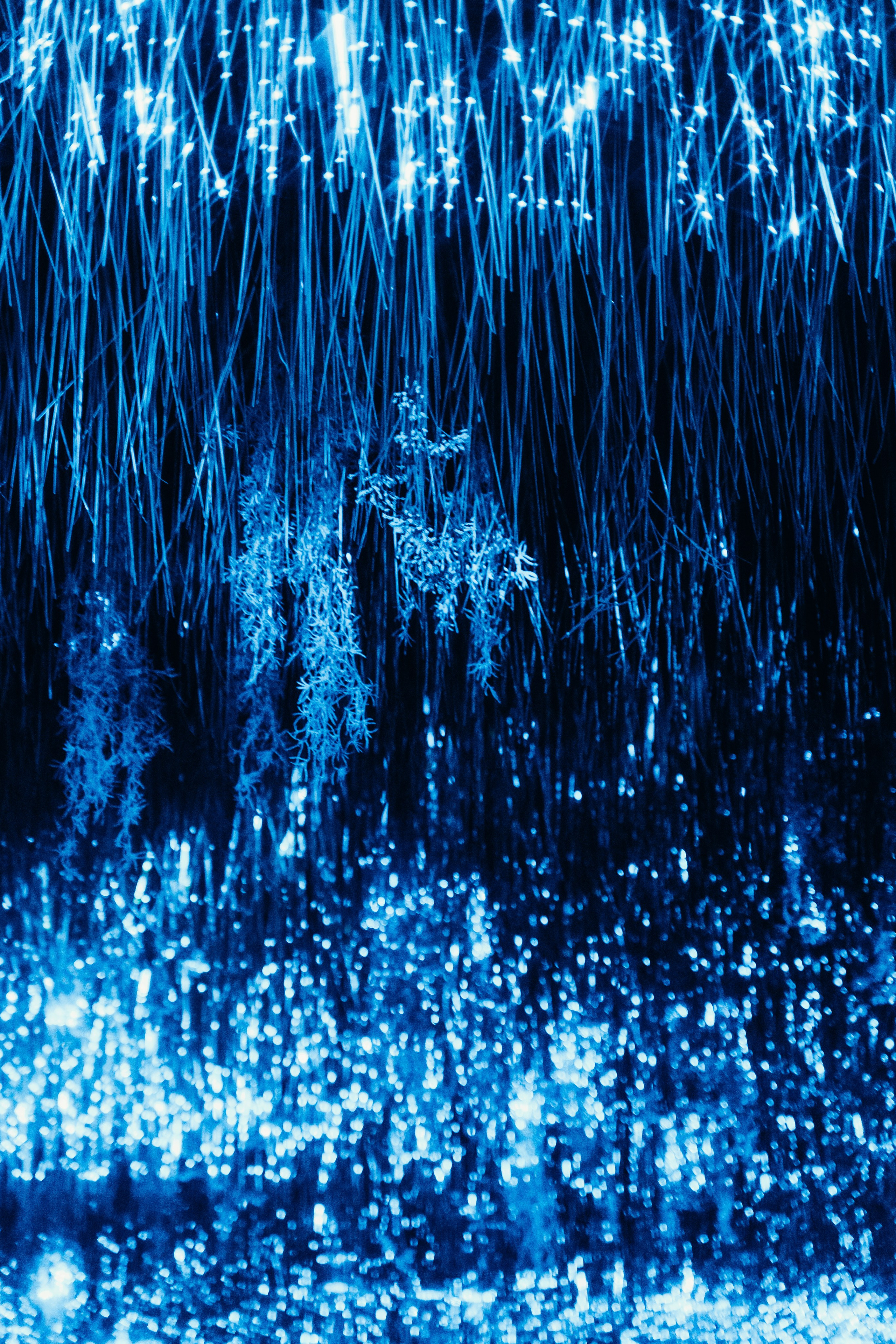 NUR 2024. Главная