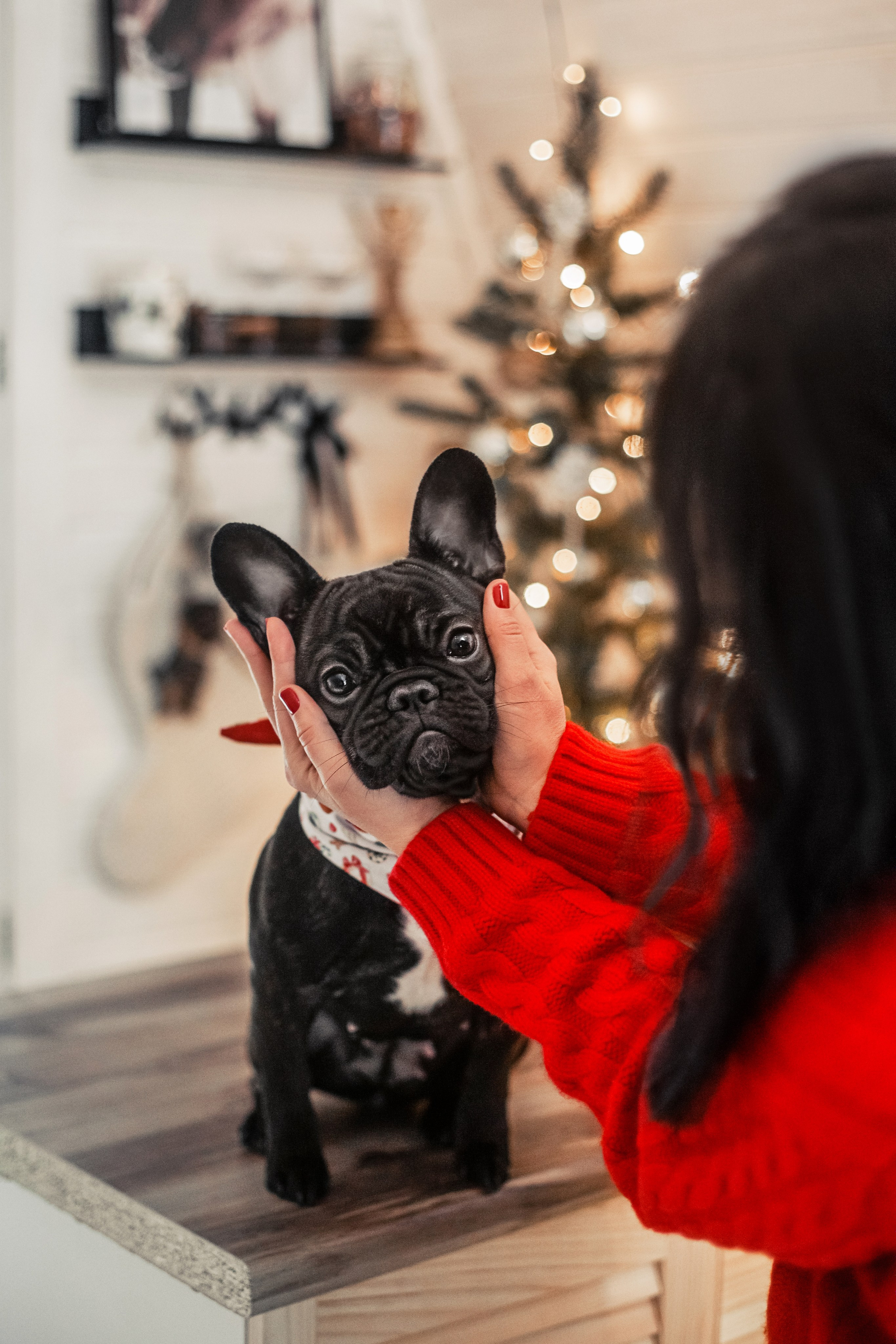 Кантри Хаус. Фотограф-анималист Татьяна Степанова