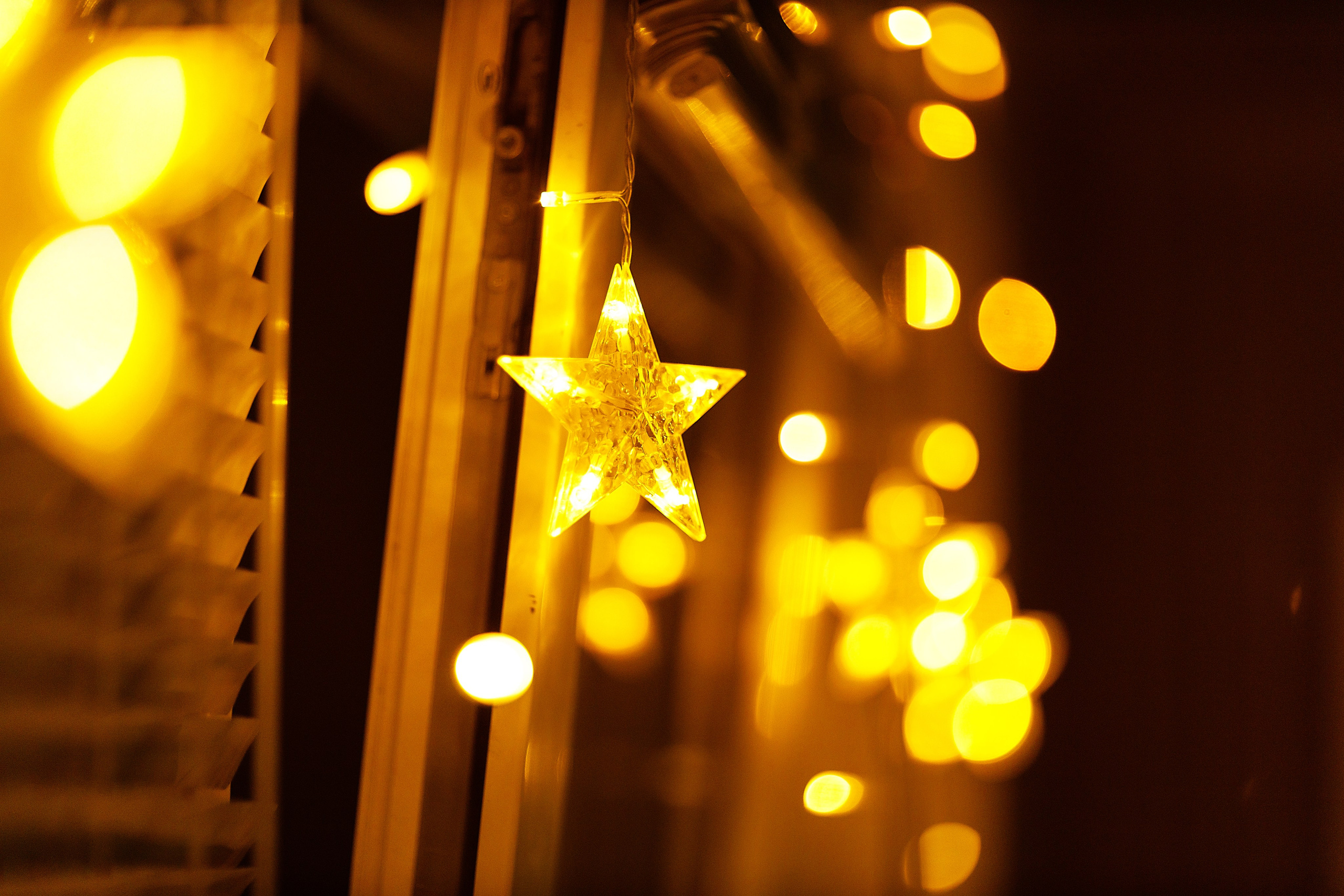 Проект «366»|2024|Фото каждый день. LENA GRACE photographer ||ЛЕНА ГРЭЙС фотограф