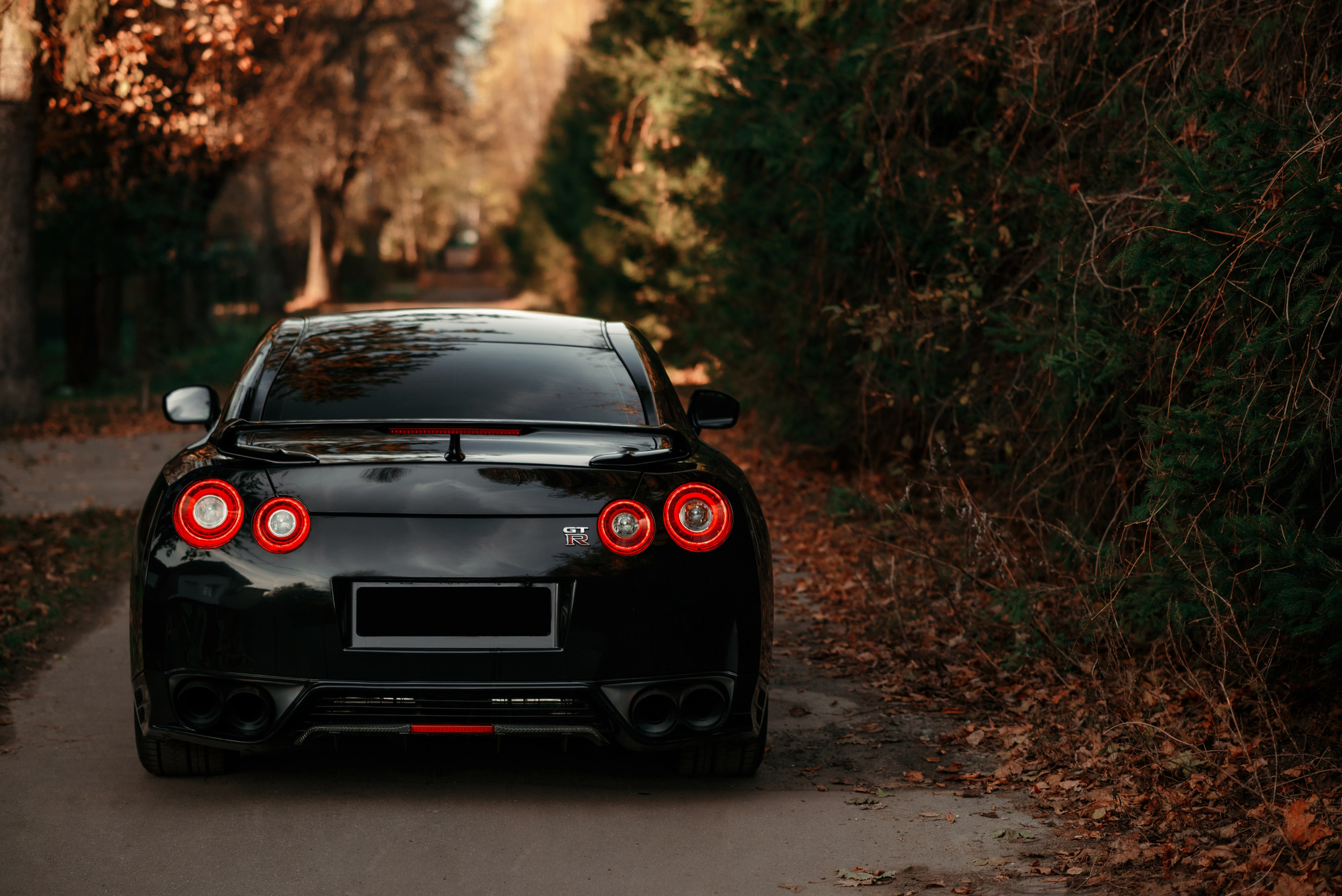 Nissan GT-R35 autumn vibe. DeLorein