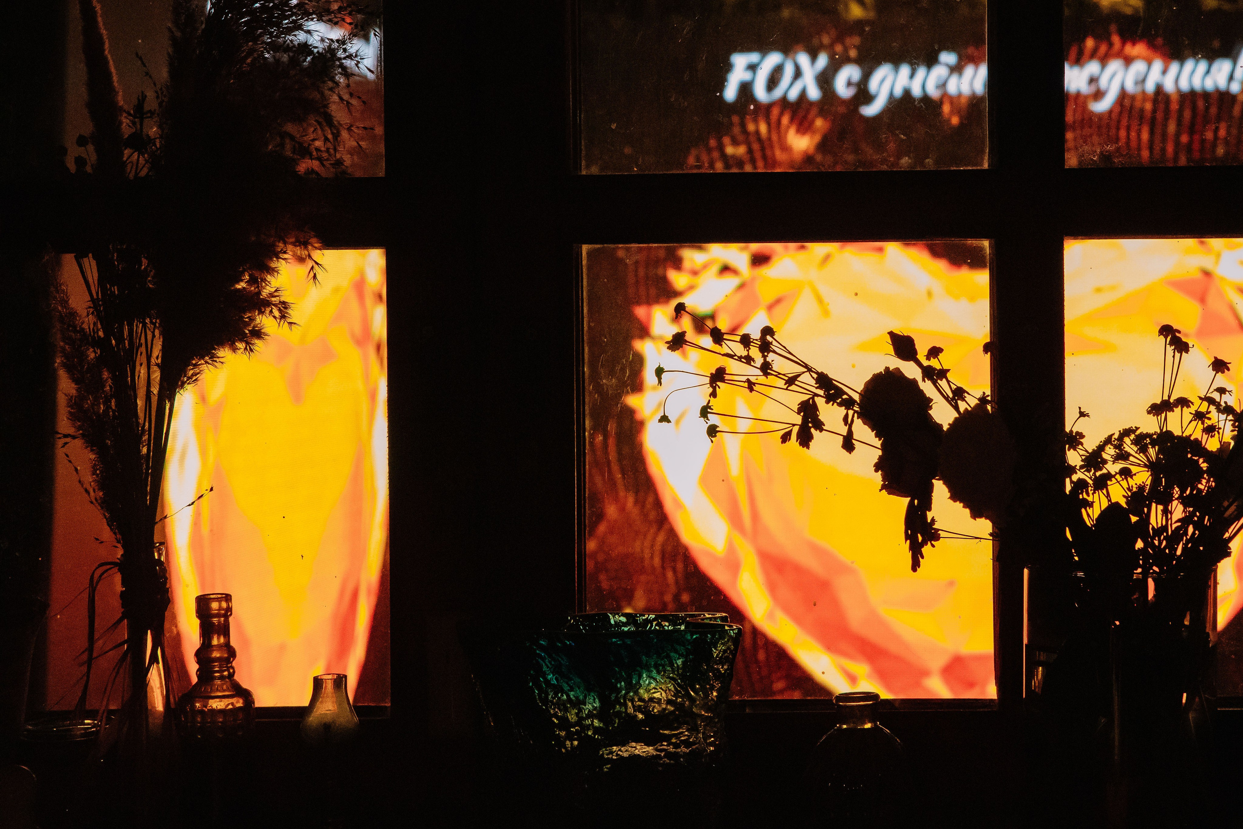 ~ С Днем Рождения, Катерина FOX ~. Фотограф в Москве Яна Полосина